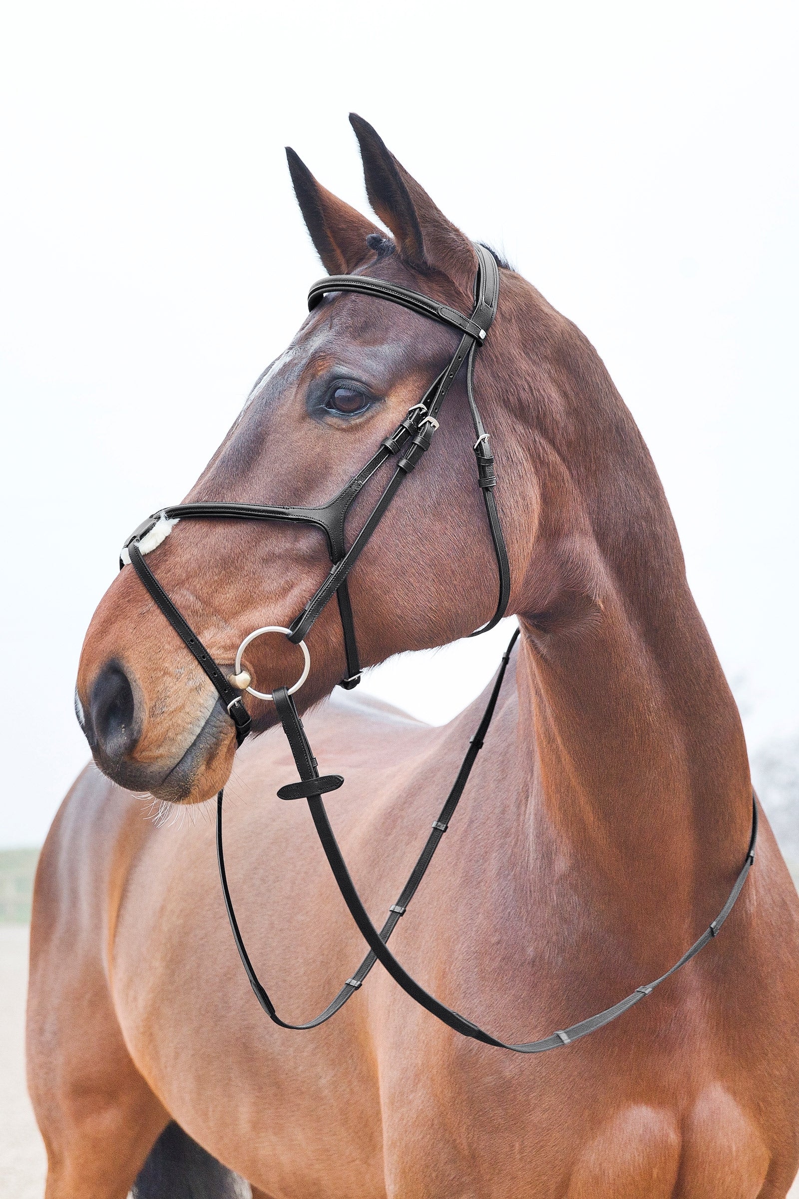 Horze Prescott Mexican Noseband Bridle Bridles & Reins