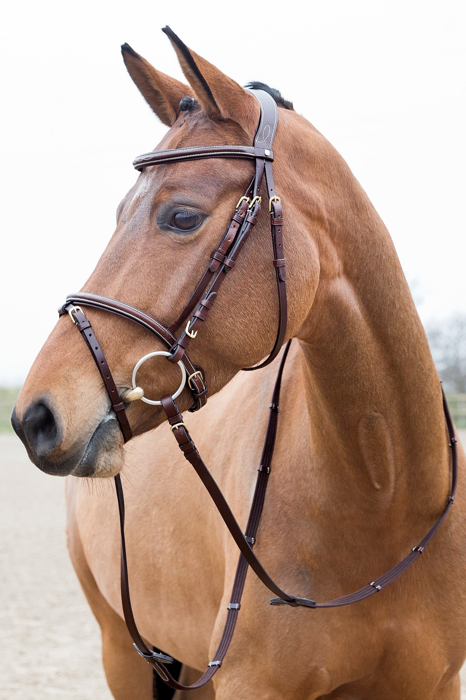 Horze Constance Padded Flash Bridle Bridles & Reins