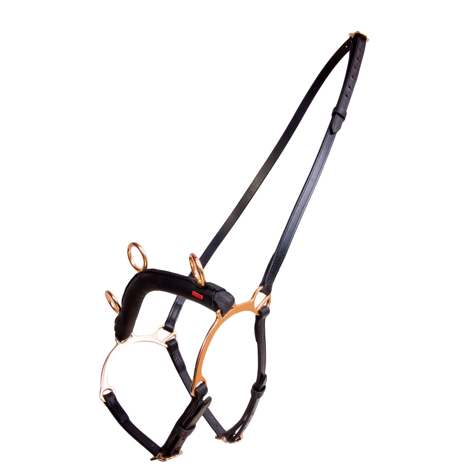 Karlslund kaptoom met beugel Longeren & Longeerhulp