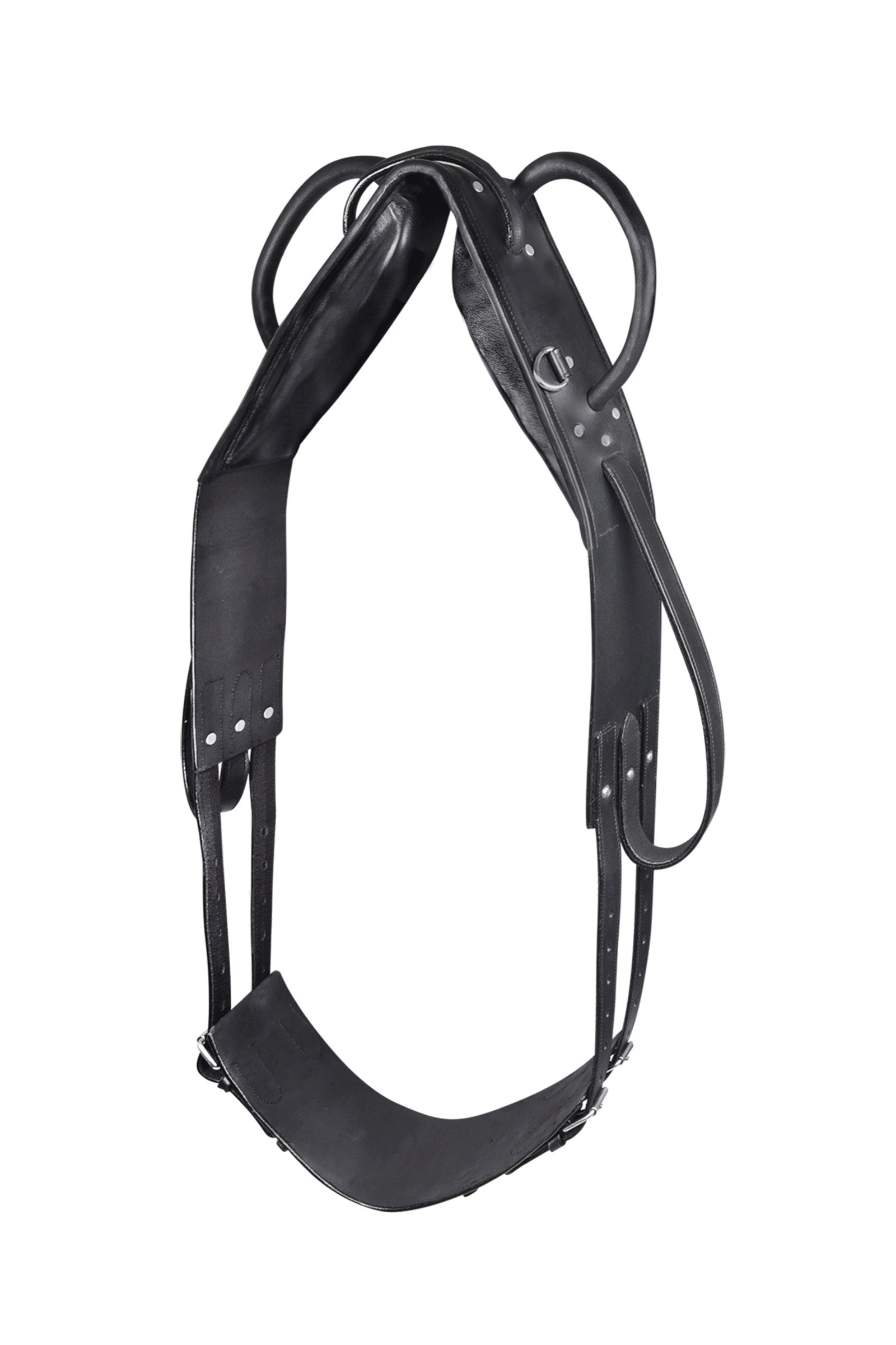 Waldhausen Vaulting & Lunging Surcingle Horse Training