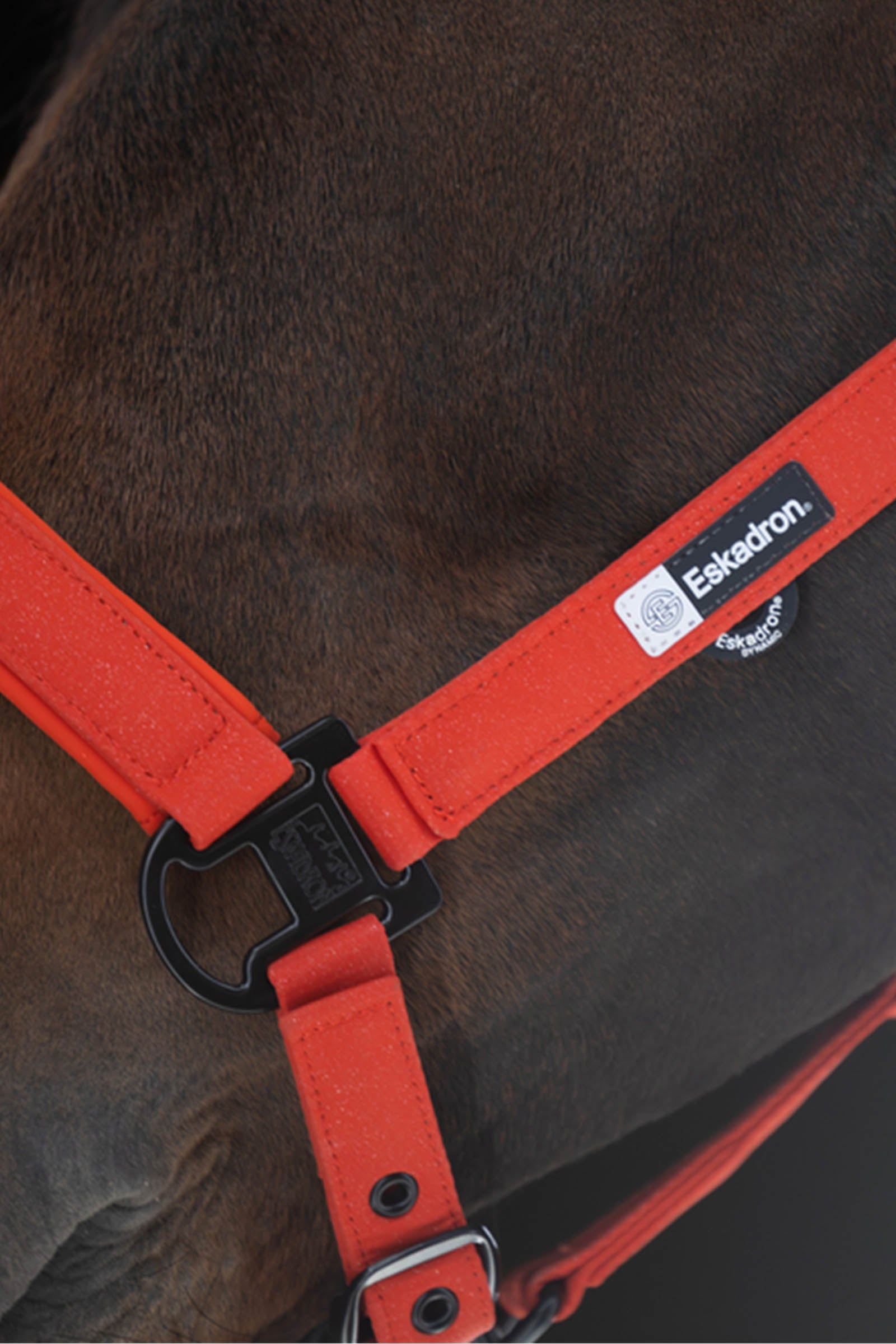 Eskadron Dynamics AW25 Sparkle Double Pin Headcollar Halters & Leads