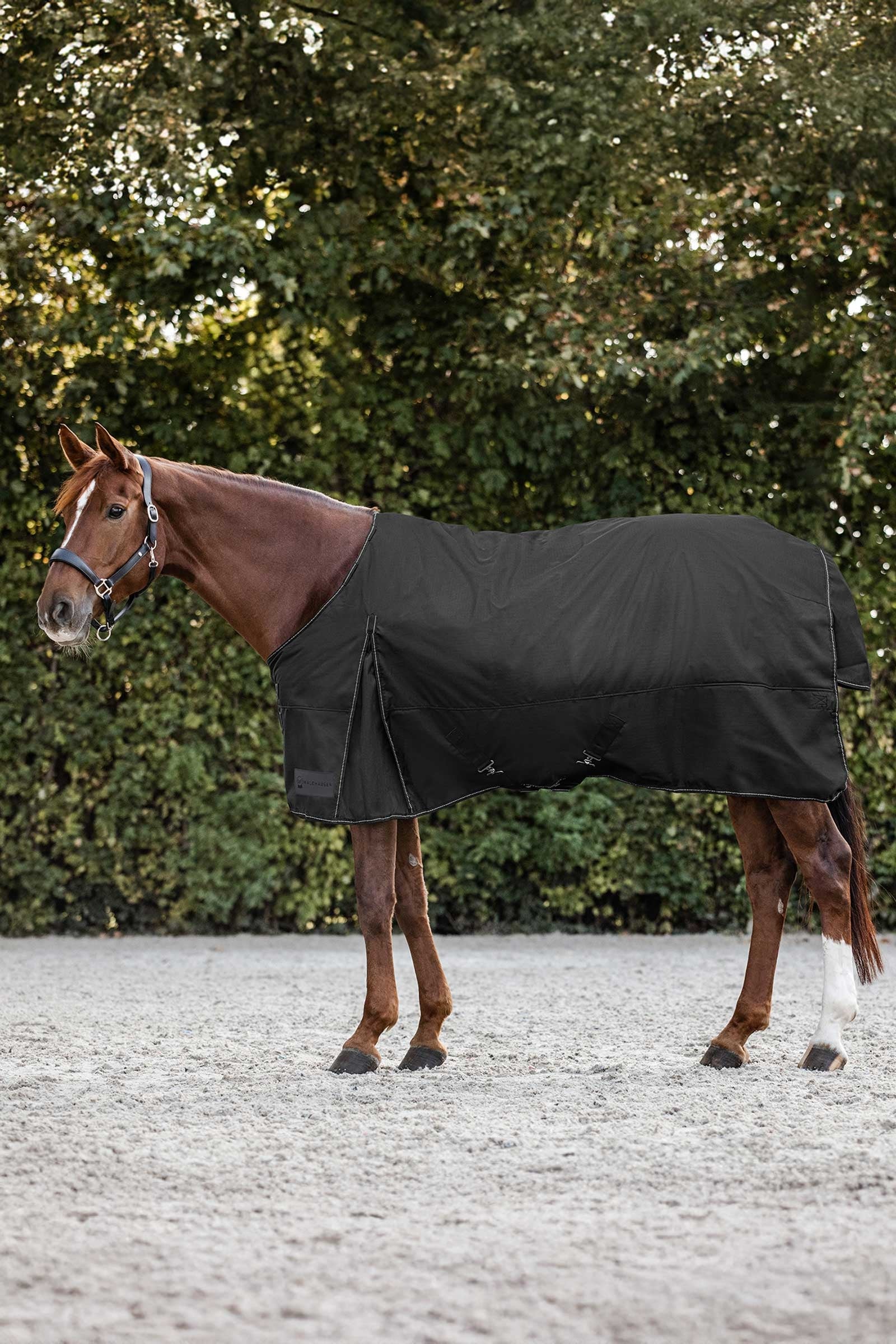 Waldhausen Nordic Outdoordeken, 200 g Paardendekens