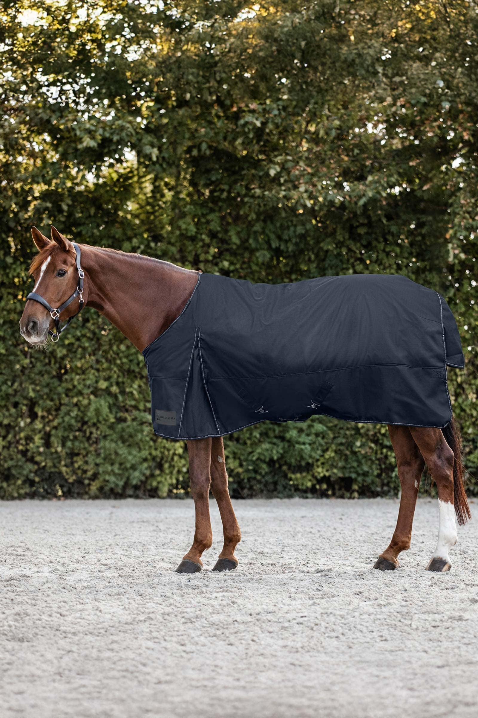 Waldhausen Nordic Outdoordeken, 200 g Paardendekens