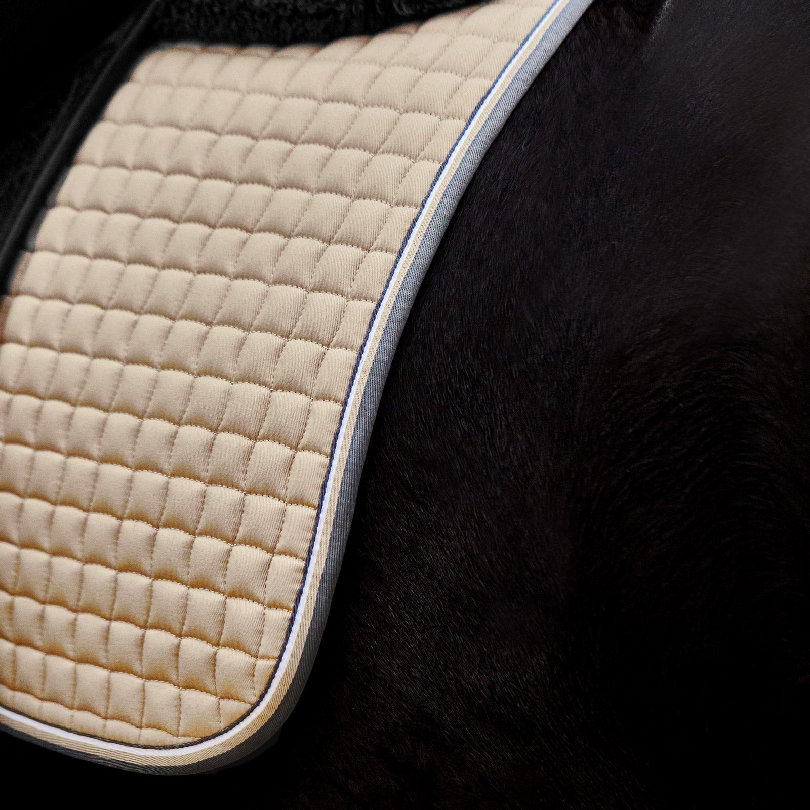 Horze Adepto Dressage Saddle Pad Saddle Pads