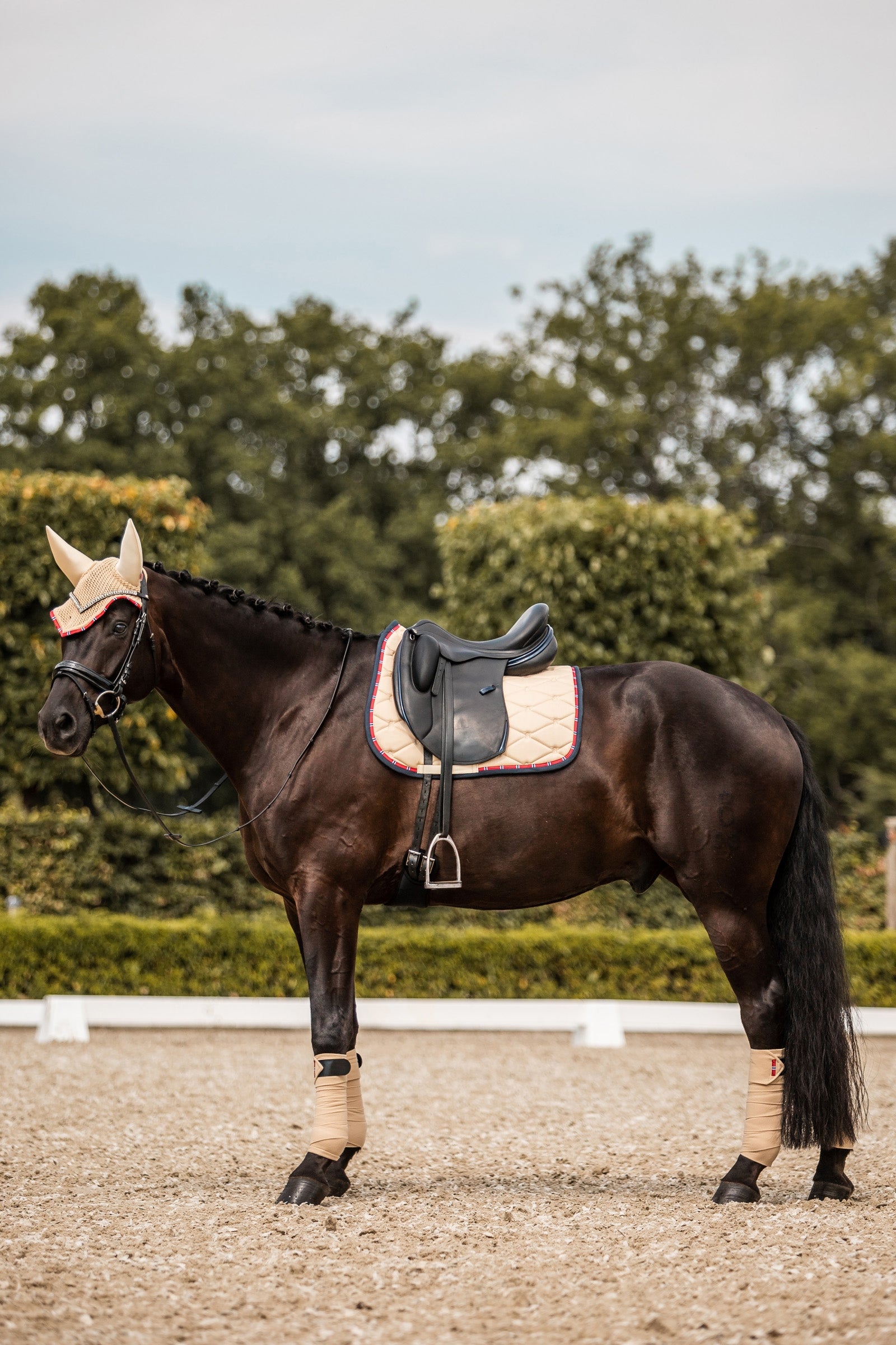 B Vertigo Amory Dressage Saddle Pad with Monogram Embroidery Saddle Pads