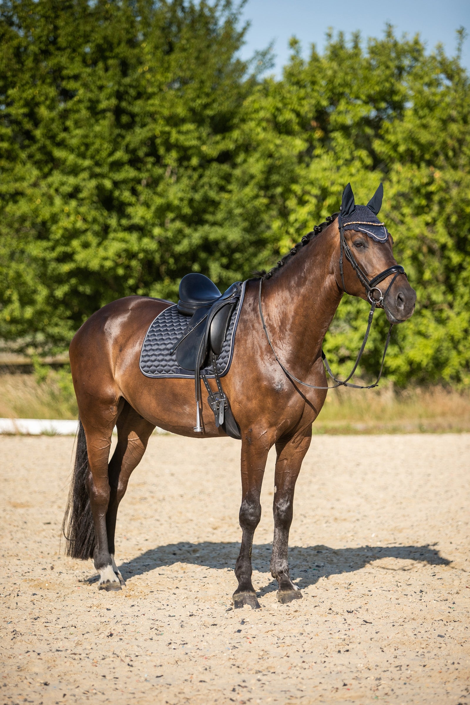 Horze Sandnes Dressage Saddle Pad Saddle Pads