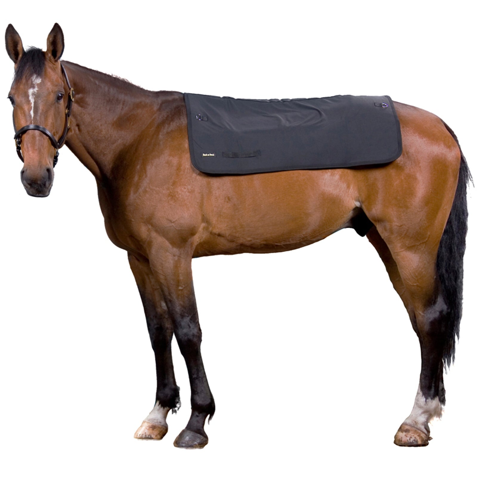 Back on Track Rugwarmer, 100cm x 120cm Paardendekens