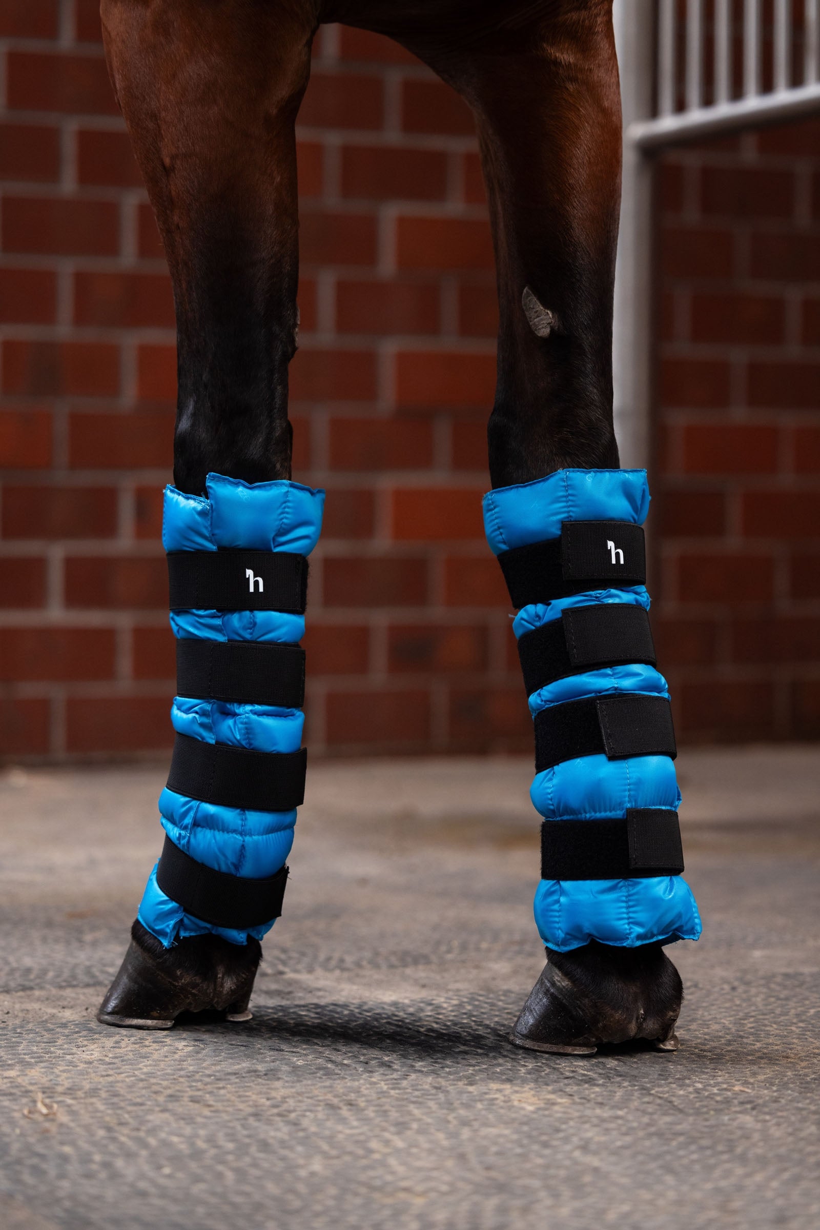 Horze Cooling Wraps (Pair) Leg Protection & Hoof Protection for Horses