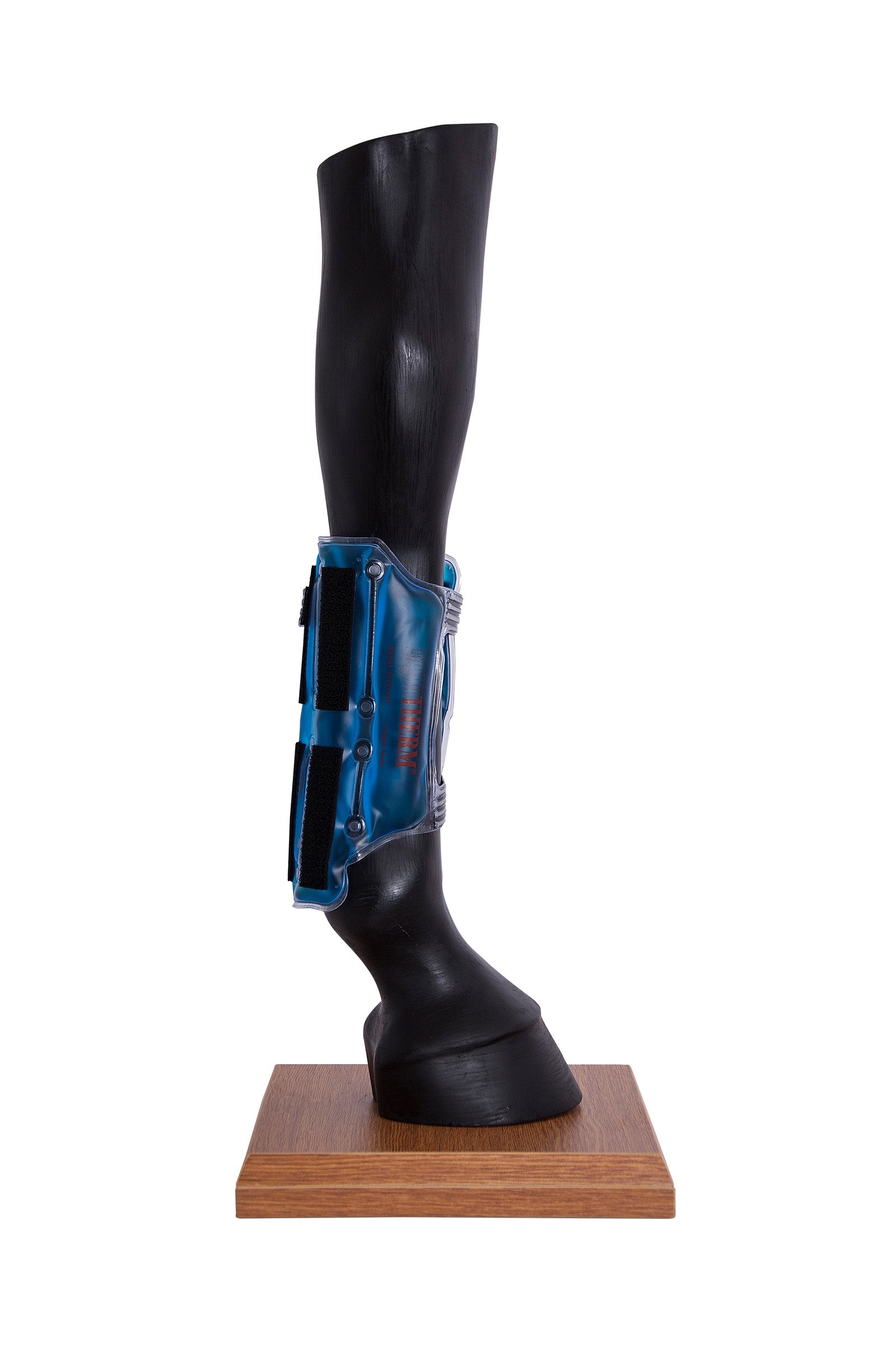 Stassek Equitherm Wrap Leg Protection & Hoof Protection for Horses