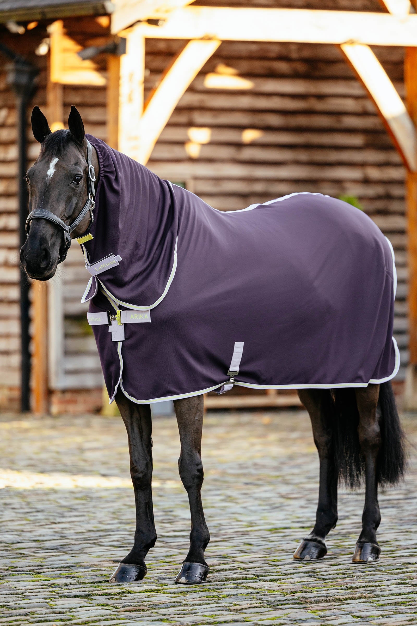 LeMieux Arika DryEase deken Paardendekens