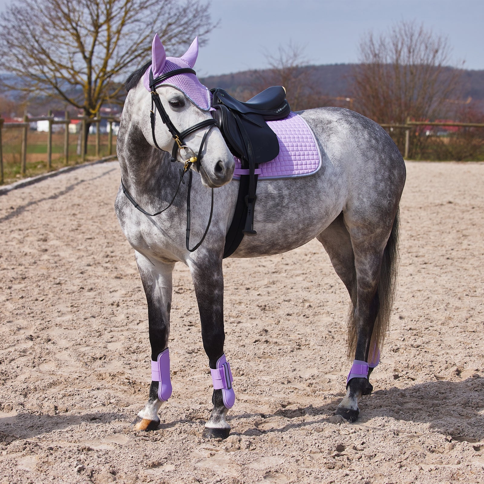Horze Adepto Tendon Boots Leg Protection & Hoof Protection for Horses