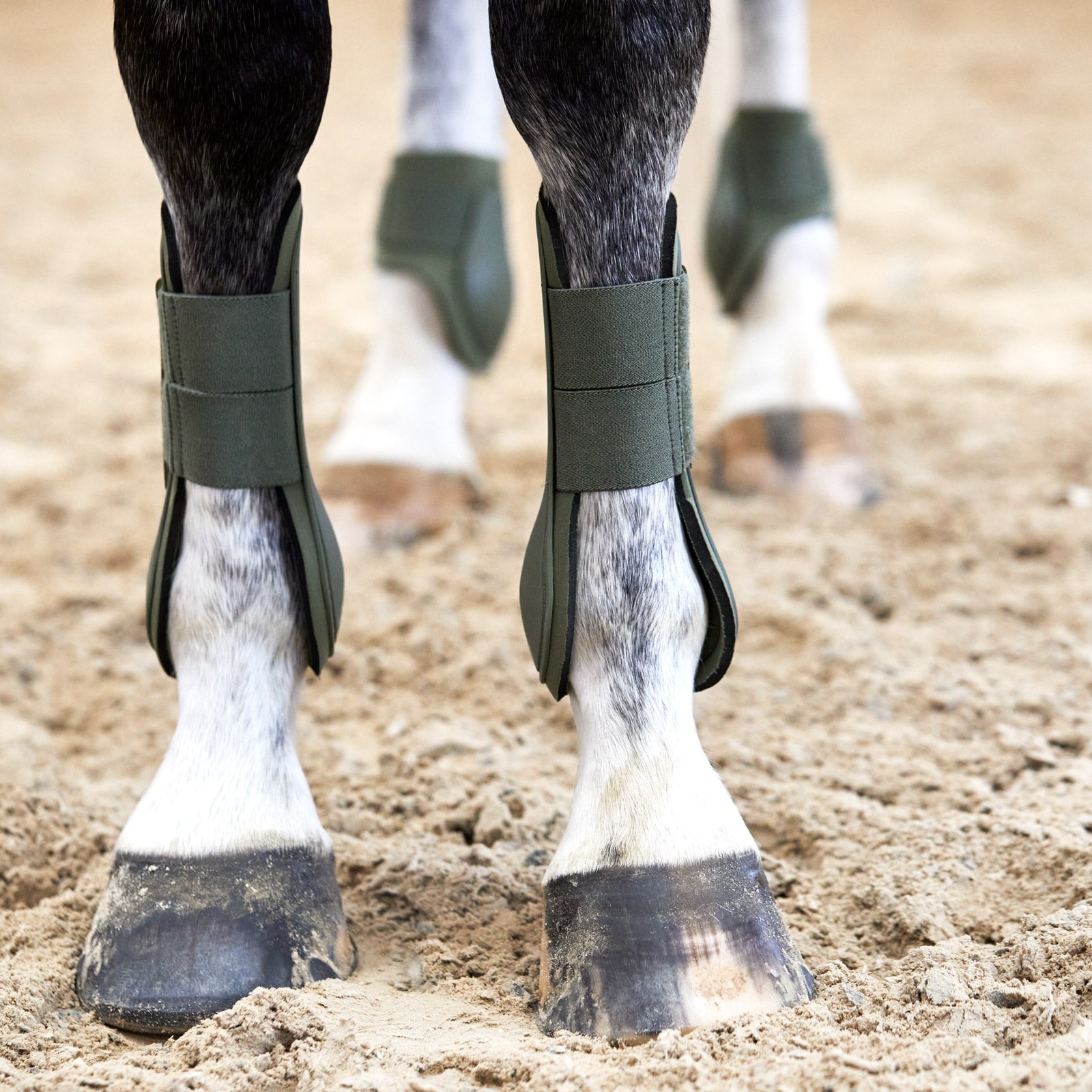 Horze Adepto Tendon Boots Leg Protection & Hoof Protection for Horses
