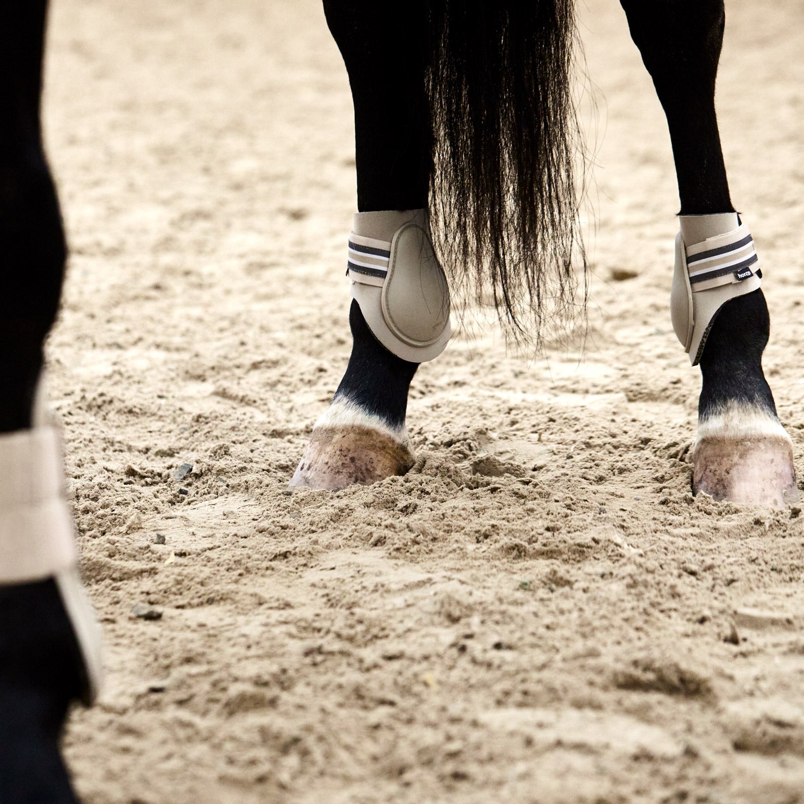 Horze Adepto Fetlock Boots Leg Protection & Hoof Protection for Horses