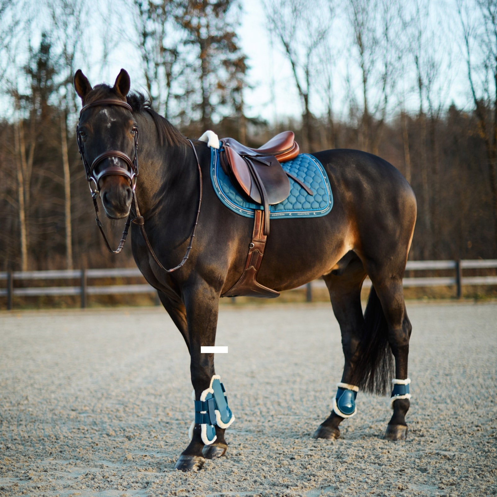 Horze Caliber Fetlock Boots with Faux Fur Lining Leg Protection & Hoof Protection for Horses