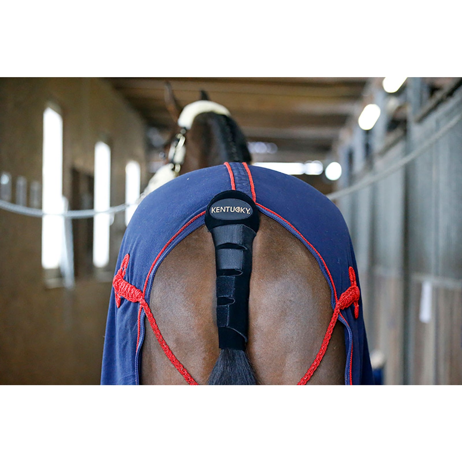 Kentucky Horsewear Tail Guard / Tail Bag Leg Protection & Hoof Protection for Horses