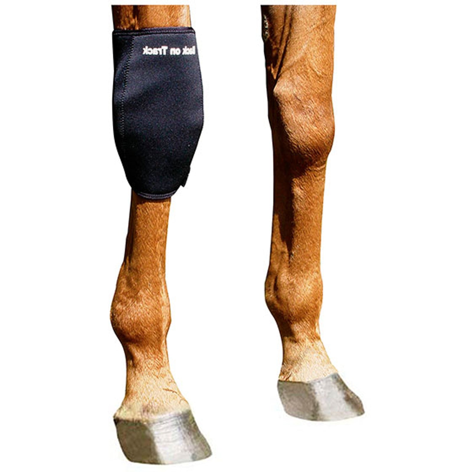 Back on Track Back On Track Kniebeschermer, Rechts Leg Protection & Hoof Protection for Horses