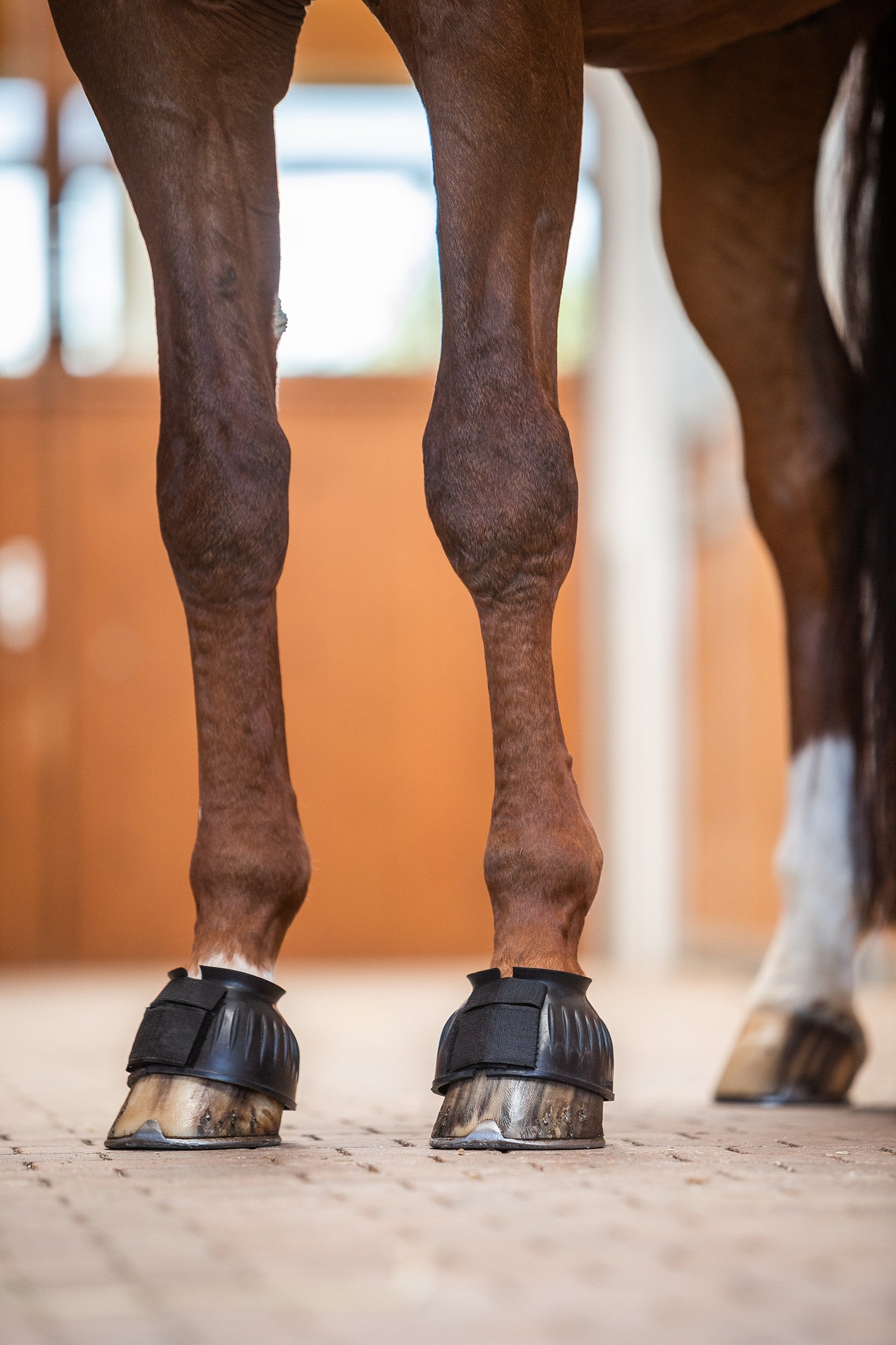 Horze Anti-Twist Lock-On Bell Boots Leg Protection & Hoof Protection for Horses