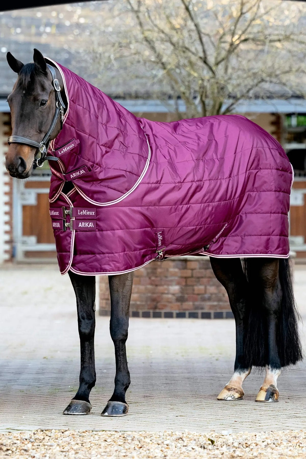 LeMieux Arika Stable-Tek With Neck, 200 g Horse Rugs