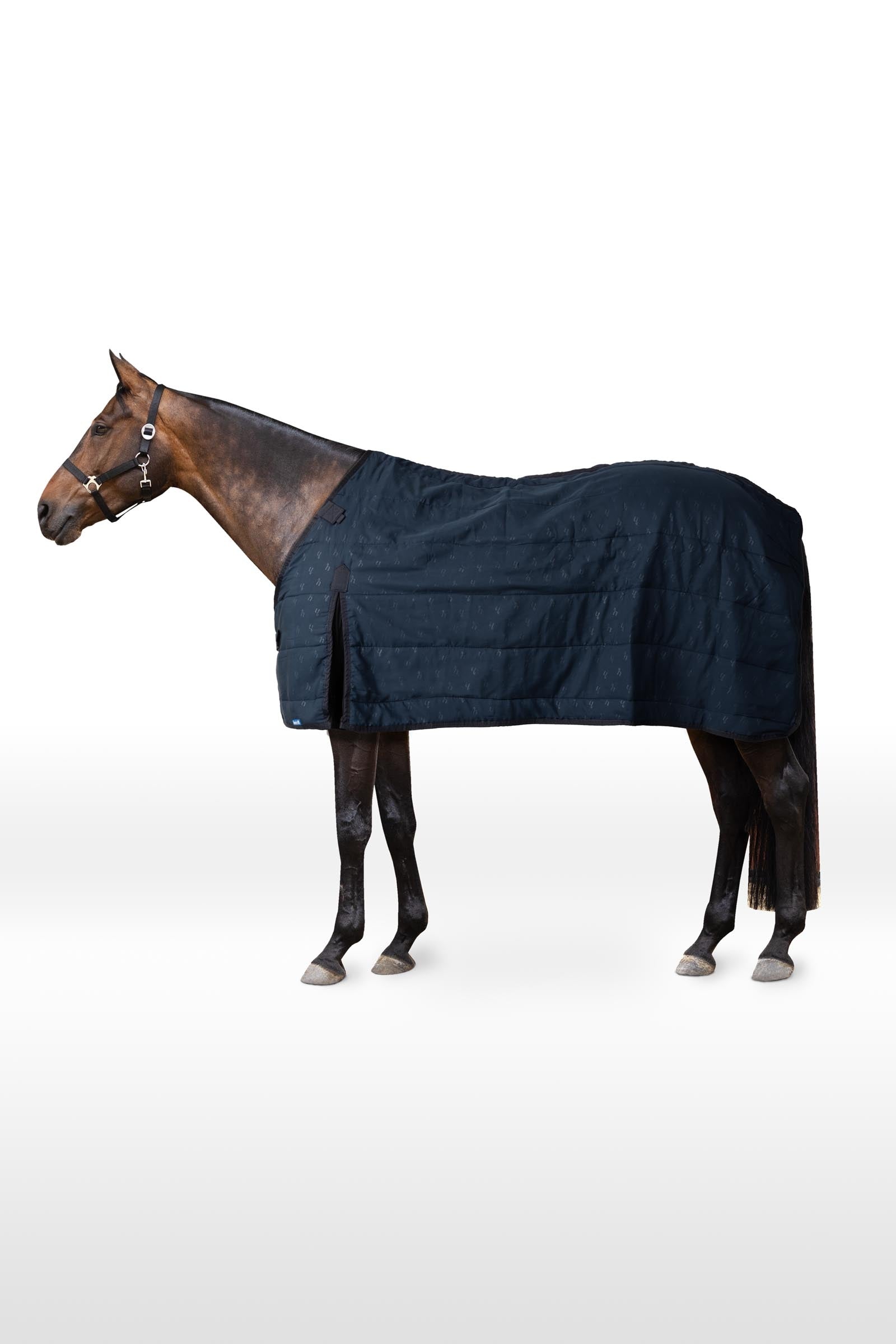 Horze onderdeken, 50 g Paardendekens