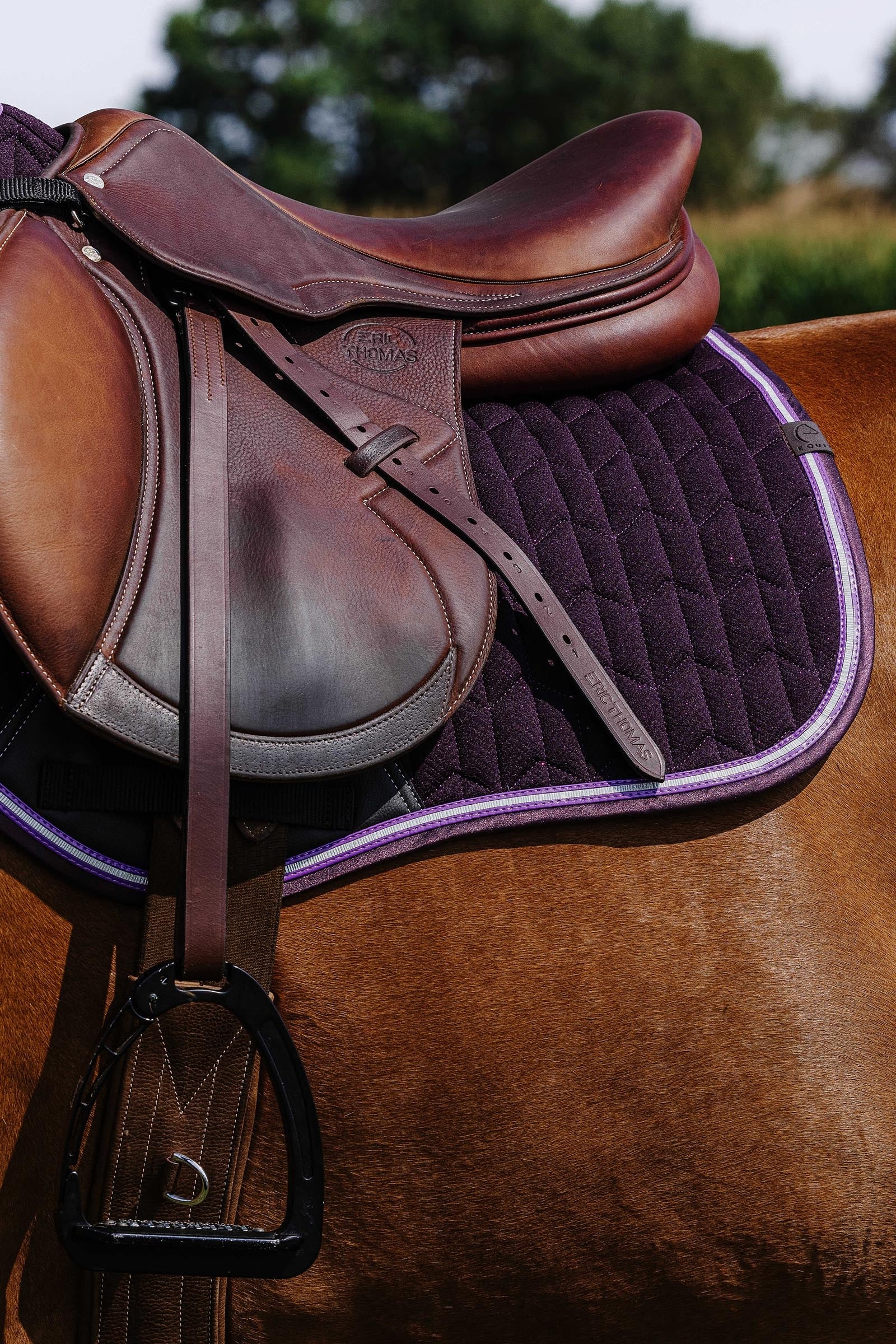 Equi Theme EQUITHÈME Eclat Saddle Pad Saddle Pads
