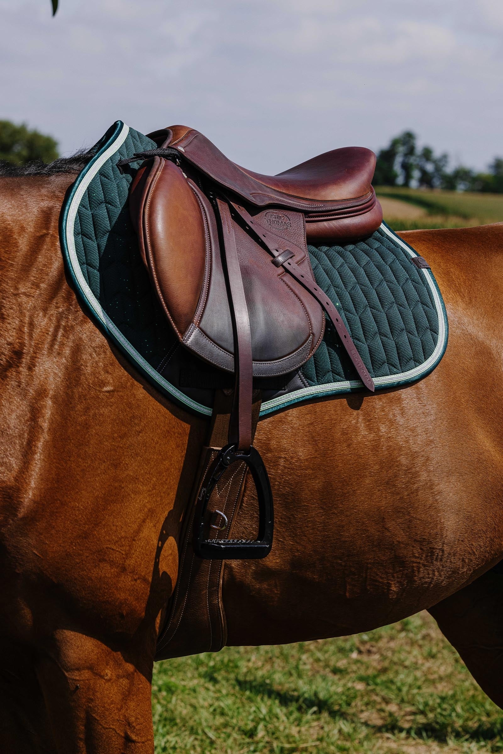 EQUITHÈME Eclat Saddle Pad Saddle Pads
