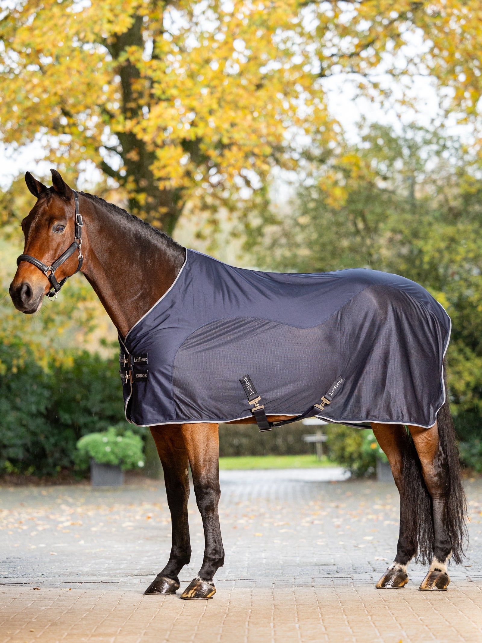 LeMieux Kudos Hybrid Cooler Paardendekens
