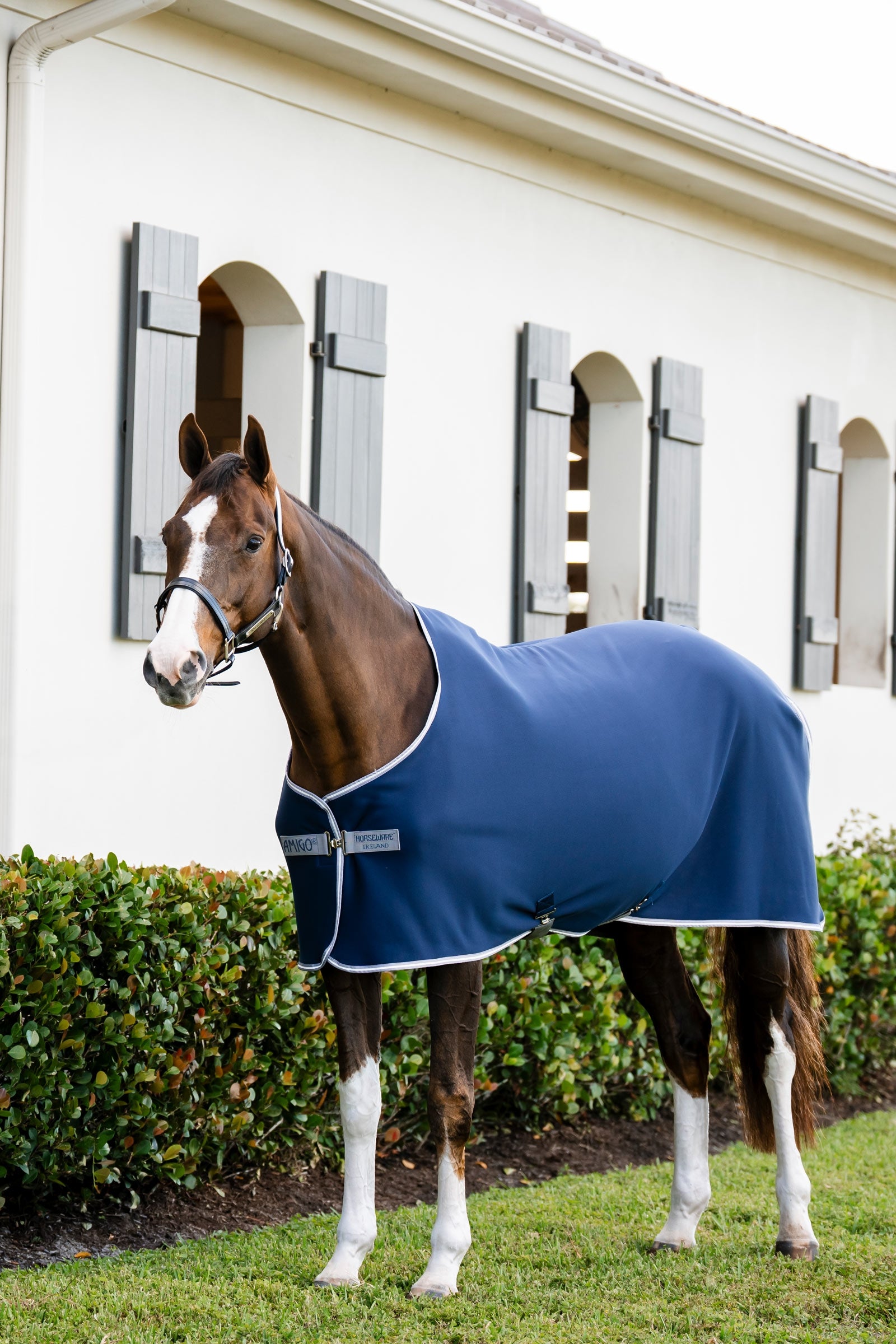 Horseware Amigo jersey zweetdeken Paardendekens