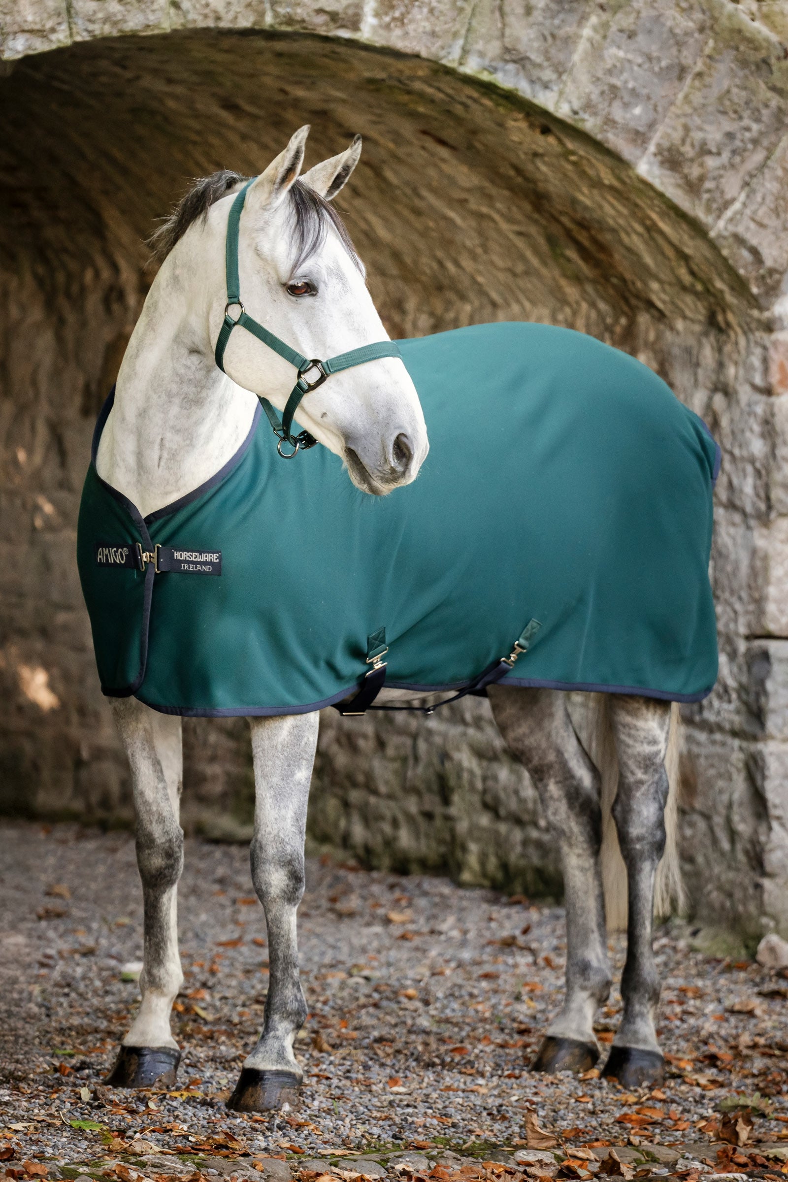 Horseware Amigo Jersey Cooler Horse Rugs
