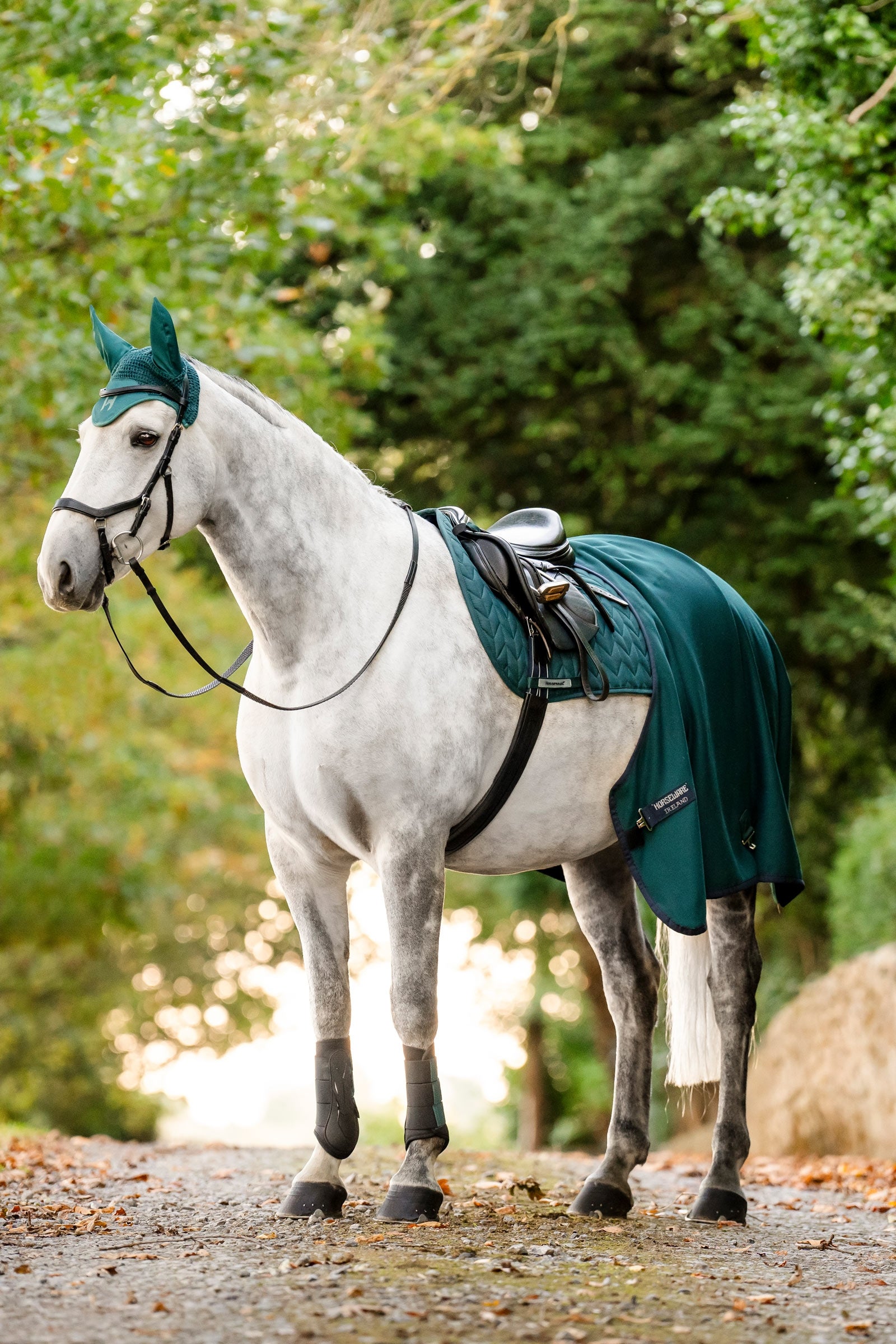 Horseware Amigo Jersey Cooler Horse Rugs