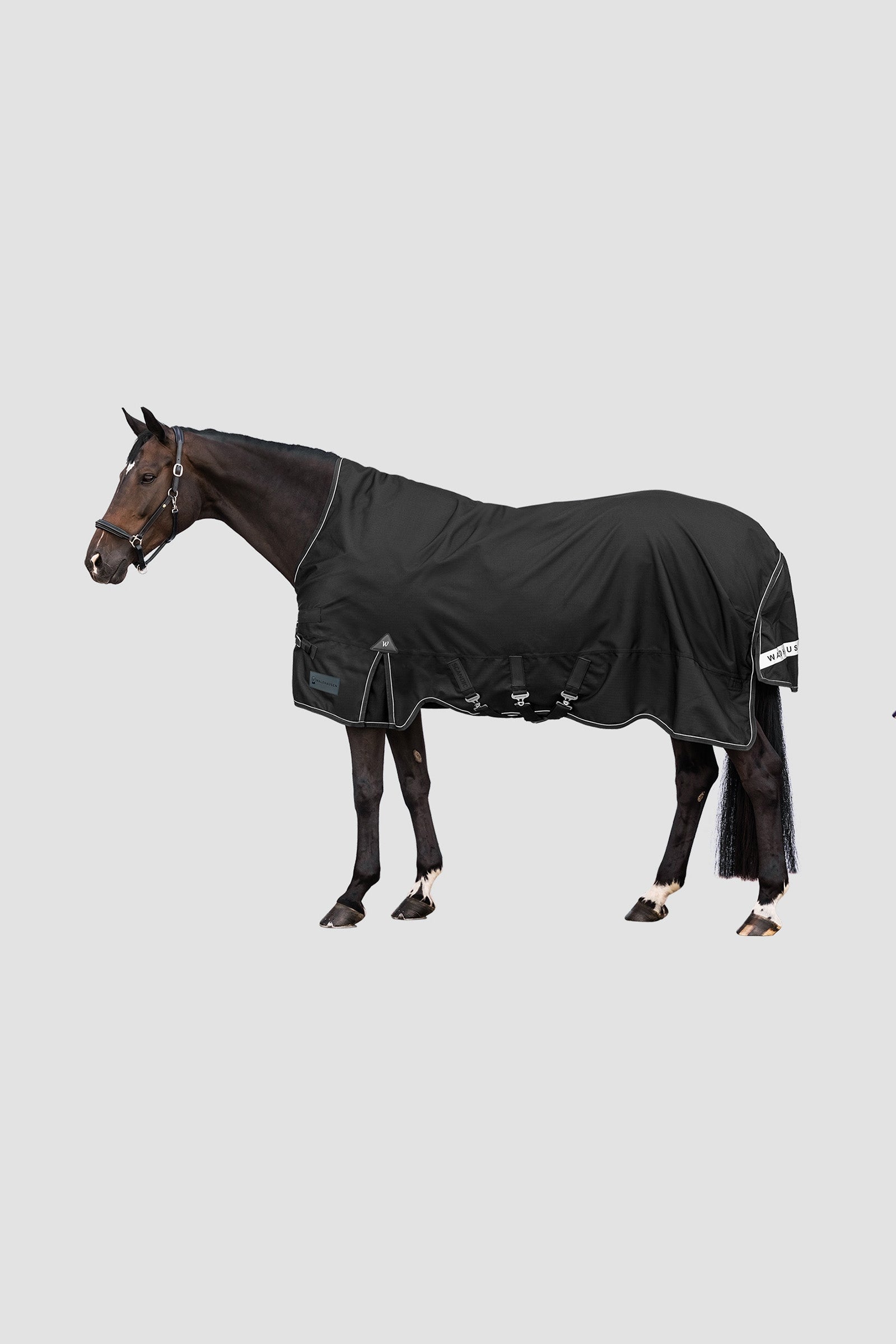 Waldhausen Outdoor Rug Scandic High Neck 100 g Paardendekens