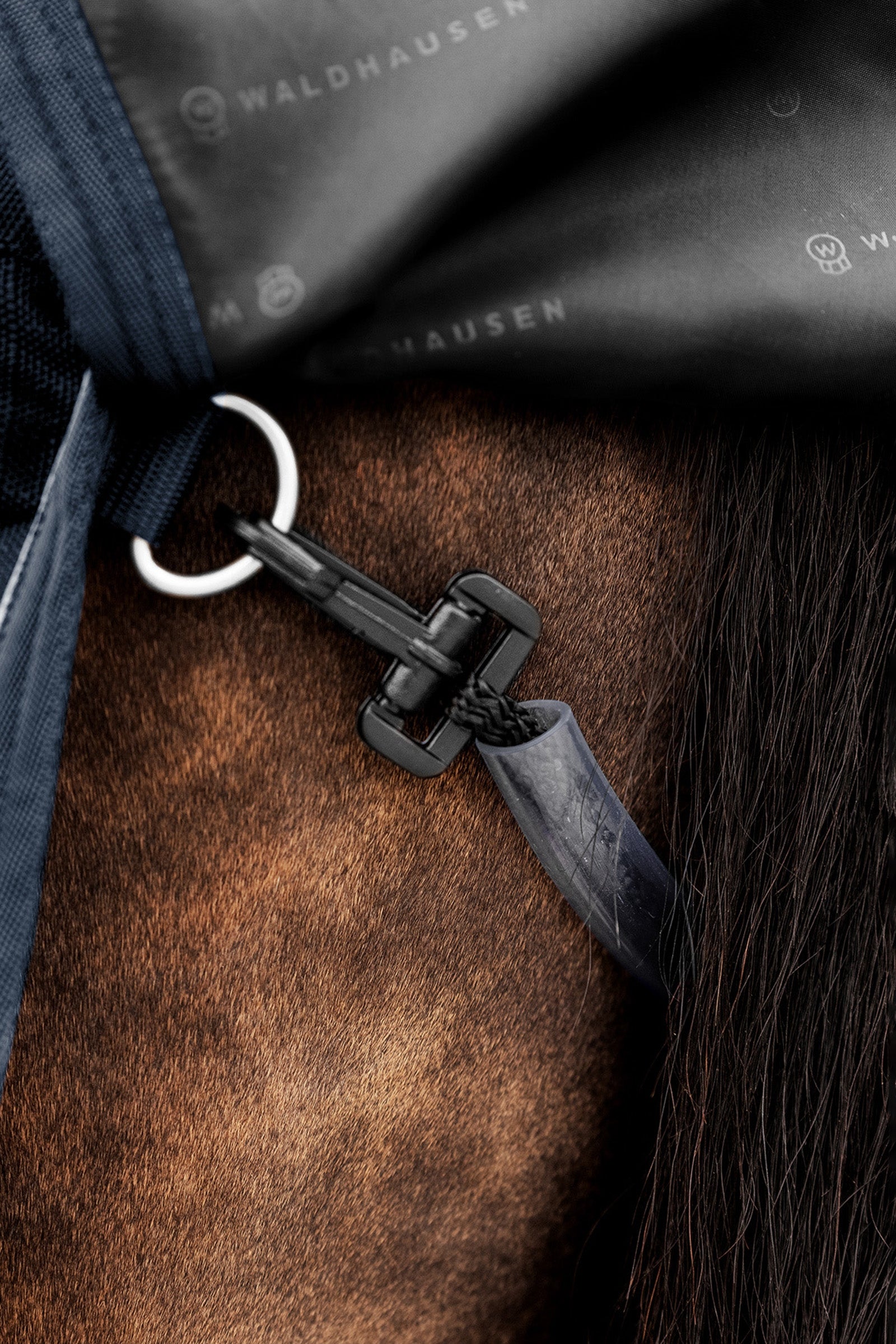 Waldhausen Outdoor Rug Scandic High Neck 100 g Horse Rugs