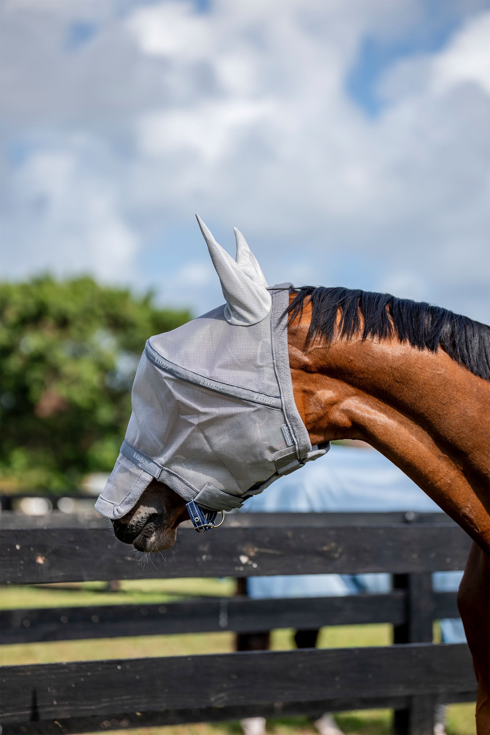 Horseware Rambo Flymask Antifly Protection for Horses