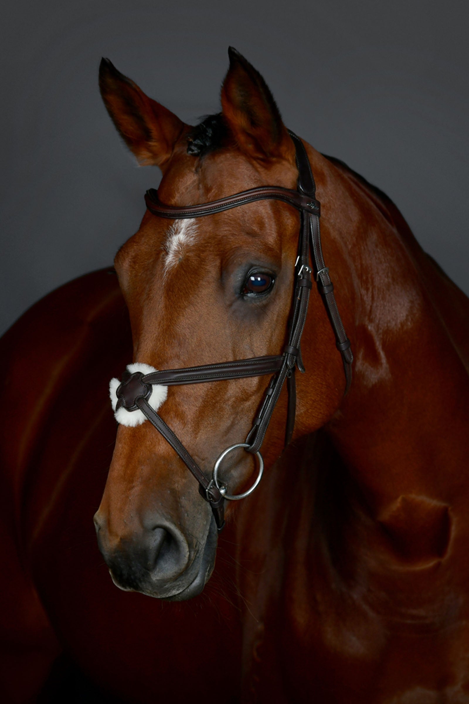 Collegiate Comfitec Opulux klassiek gevoerd hoofdstel met Mexicaanse neusriem Hoofdstellen & Teugels