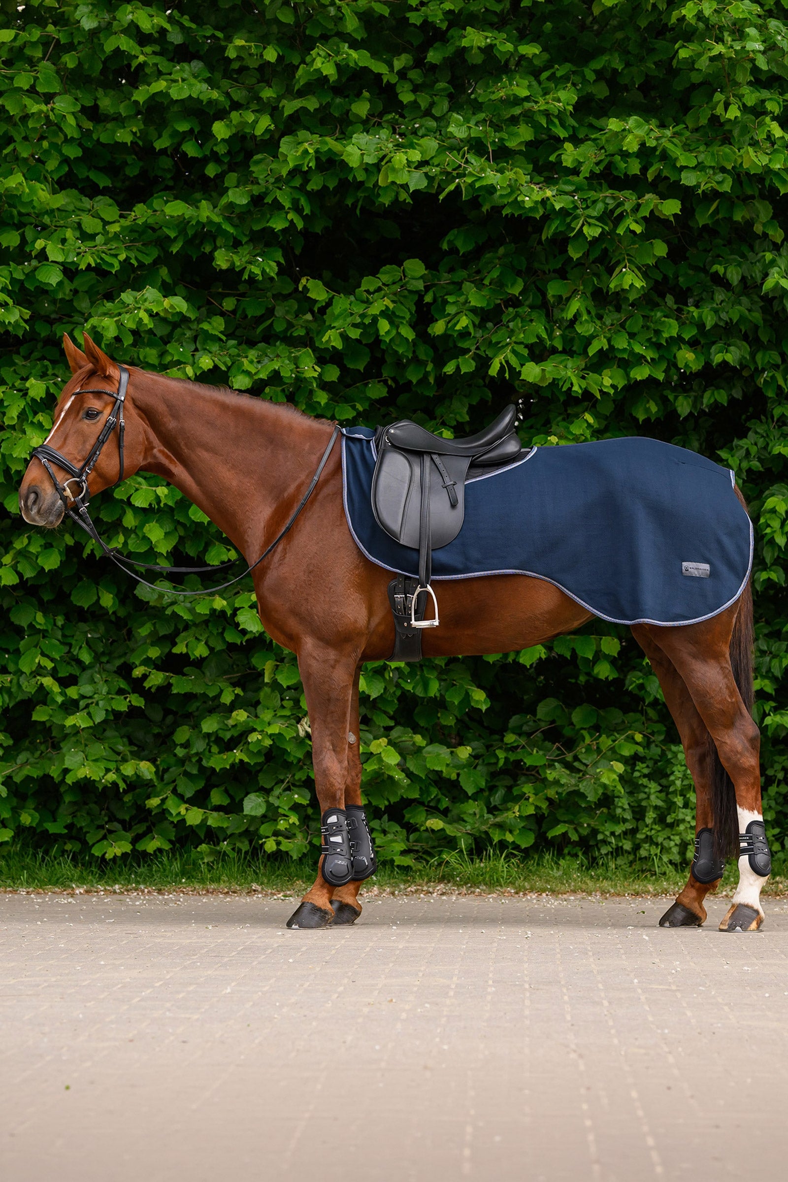 Waldhausen ECONOMIC fleece uitrijdeken Paardendekens