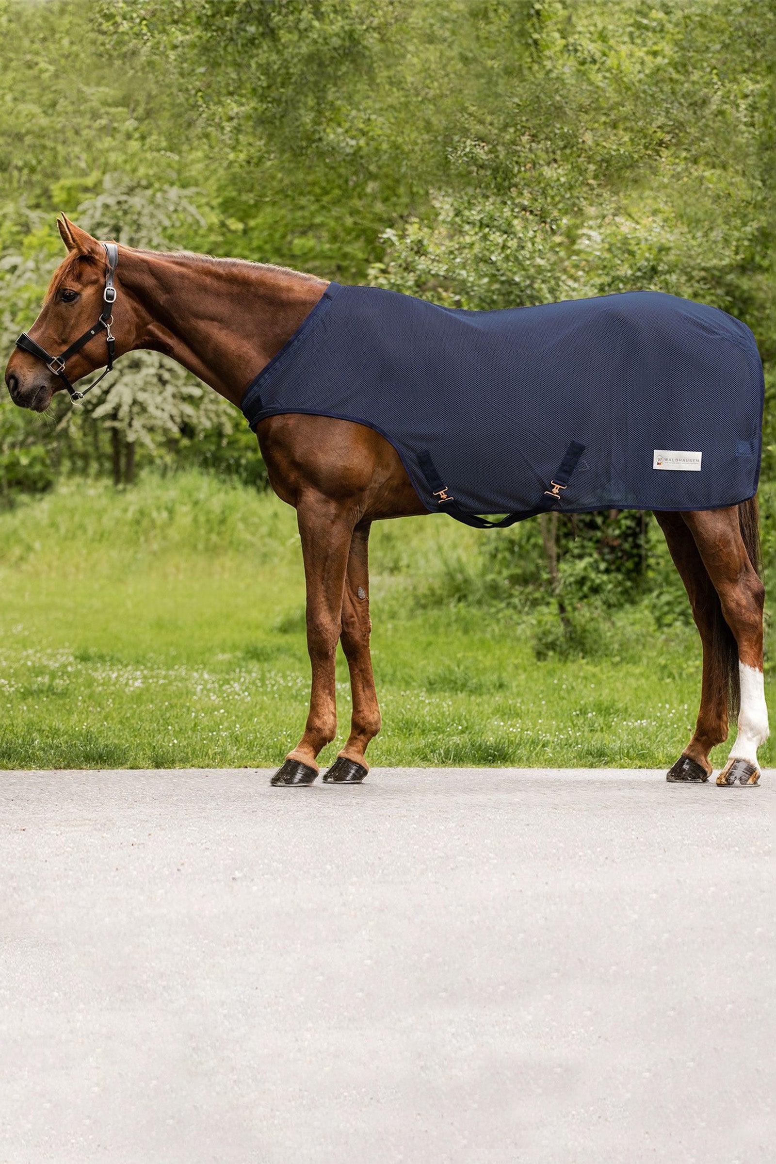 Waldhausen COMFORT Vliegendecke für Führanlage Paardendekens