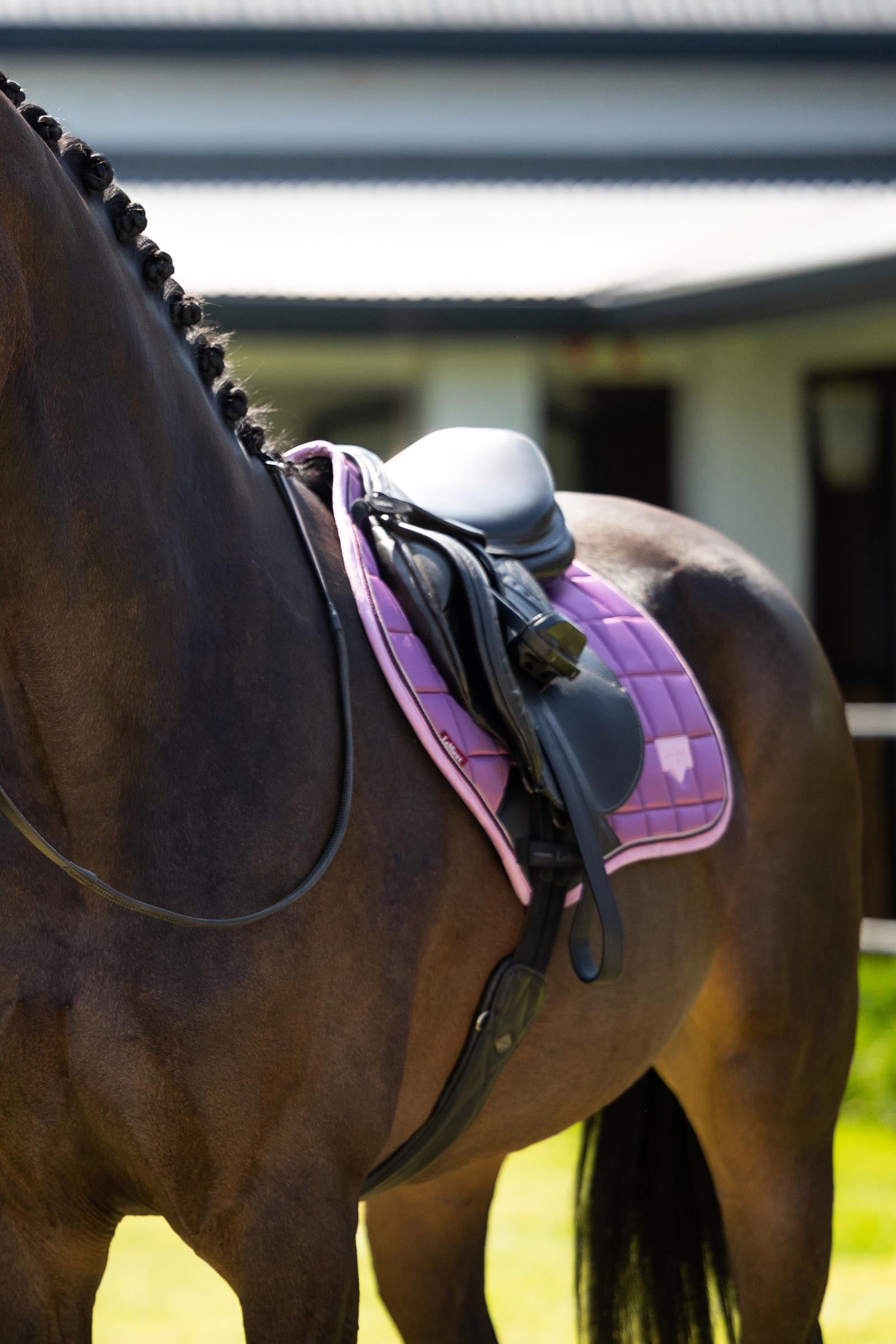 LeMieux Lemieux Loire Classic Close Contact Square Saddle Pad Saddle Pads