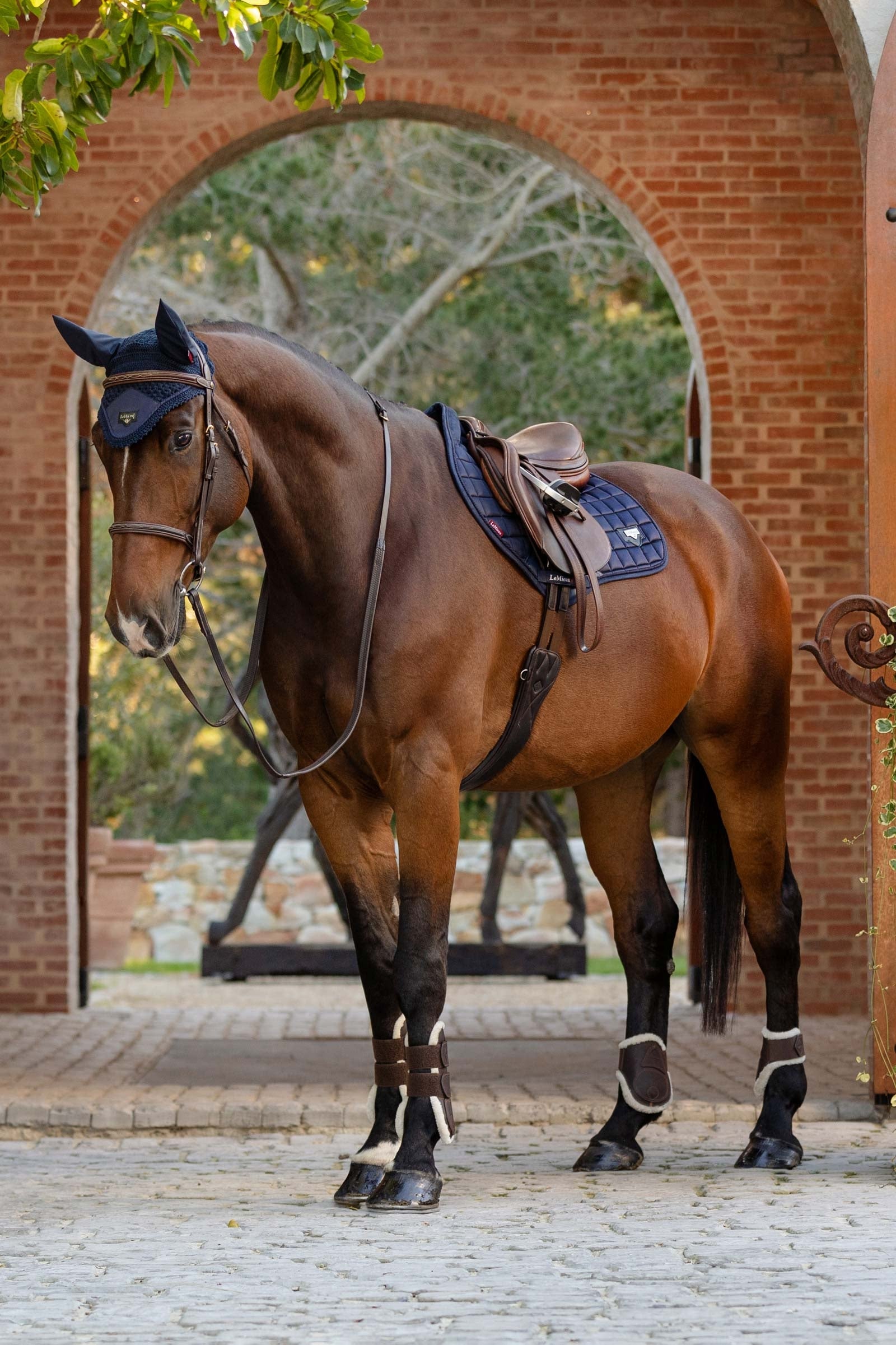 LeMieux Loire Classic Square Close Contact Saddle Pad Saddle Pads