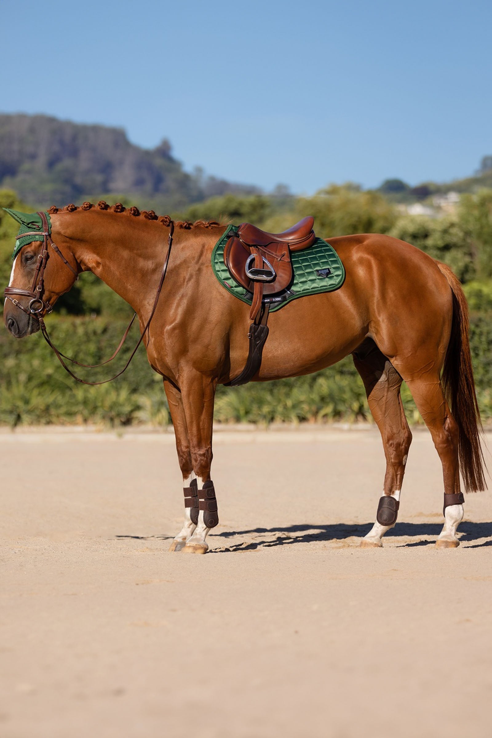 LeMieux Loire Classic Square Close Contact Saddle Pad Saddle Pads