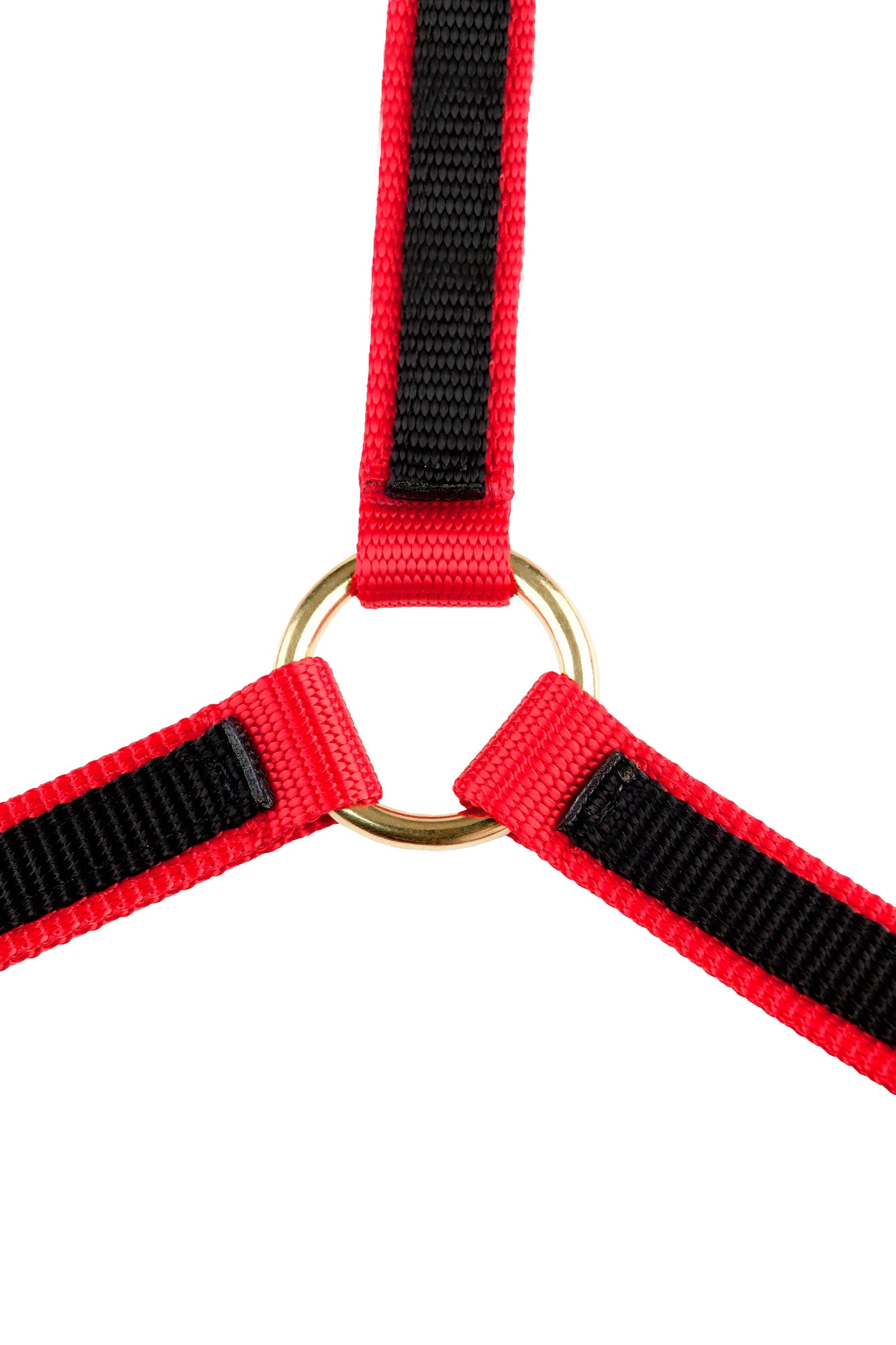Finntack Pro Synthetic Yankee Nylon Halter with Open Nose Halters & Leads