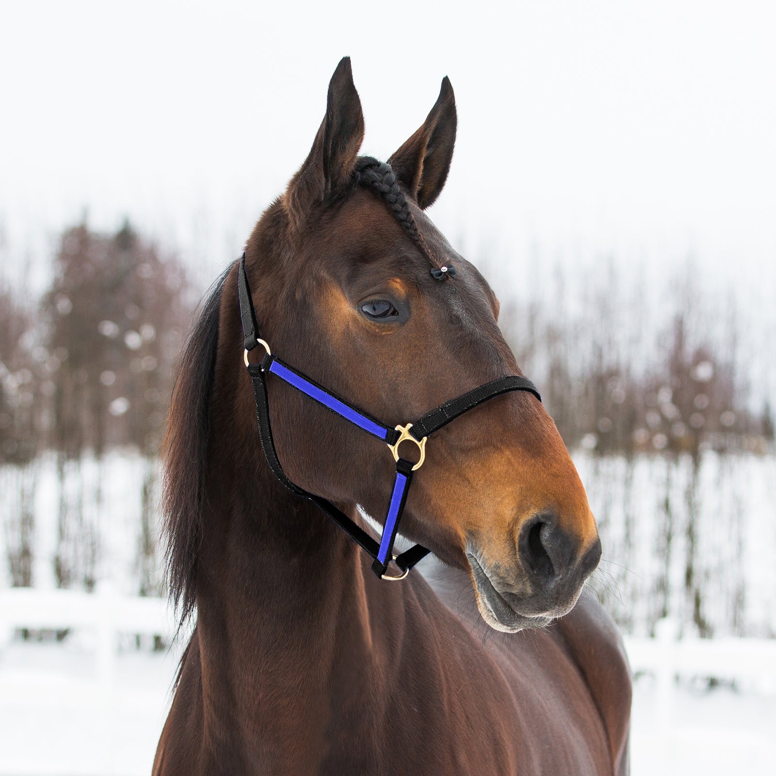 Finntack Pro Synthetic Yankee Nylon Halter Halsters & Halstertouwen