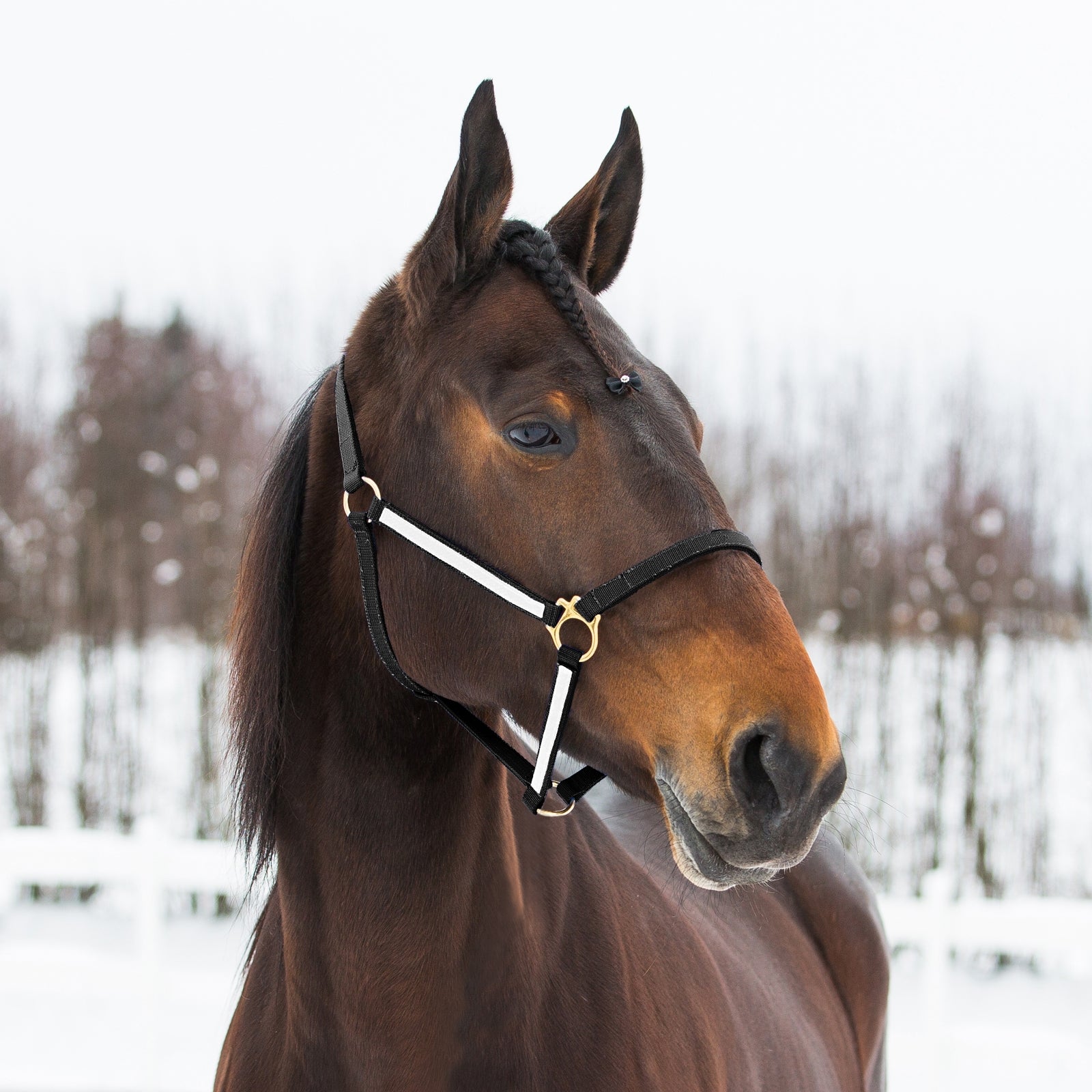 Finntack Pro Synthetic Yankee Nylon Halter Halsters & Halstertouwen