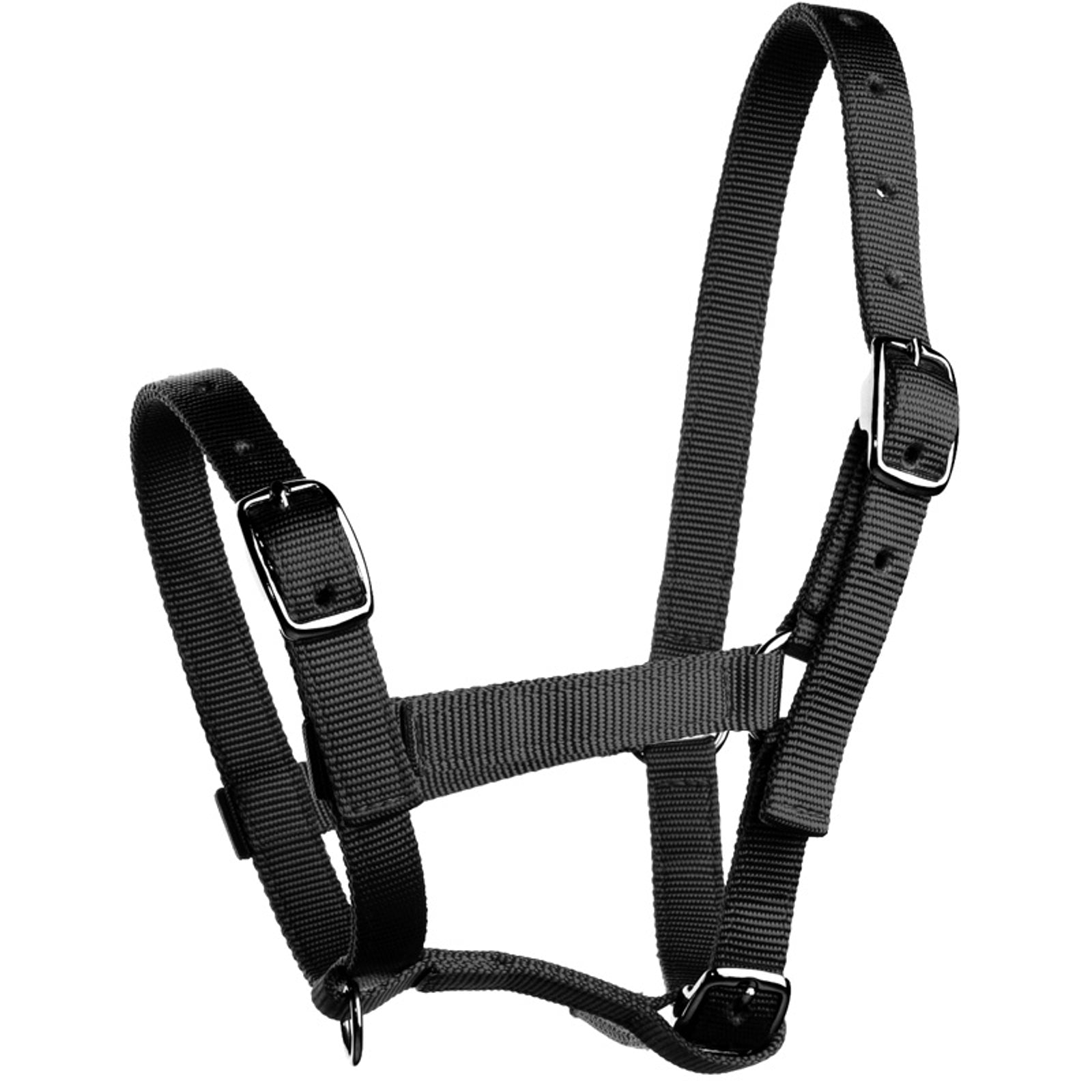 Horze Veulenhalster, nylon Halsters & Halstertouwen