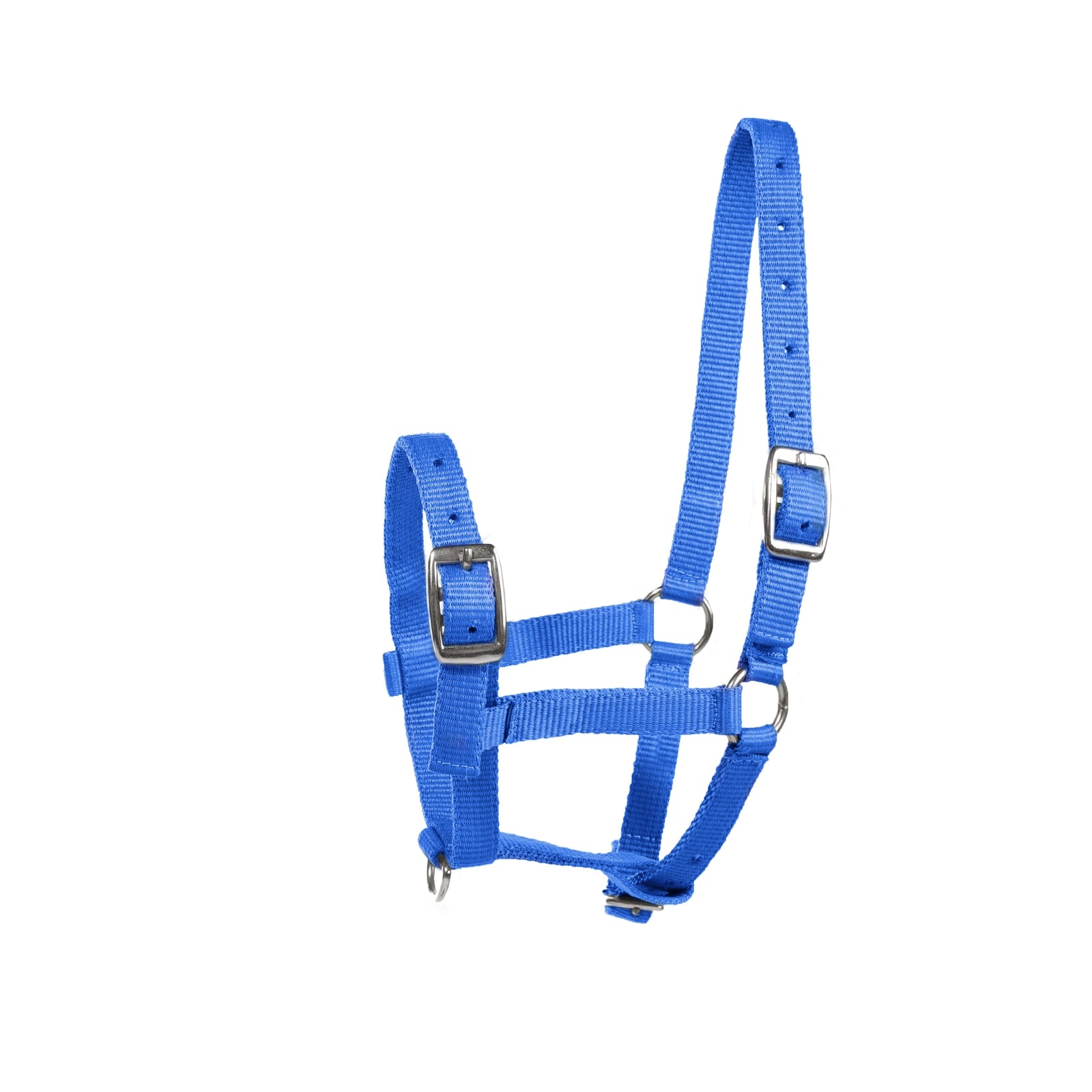 Horze veulenhalster Halsters & Halstertouwen