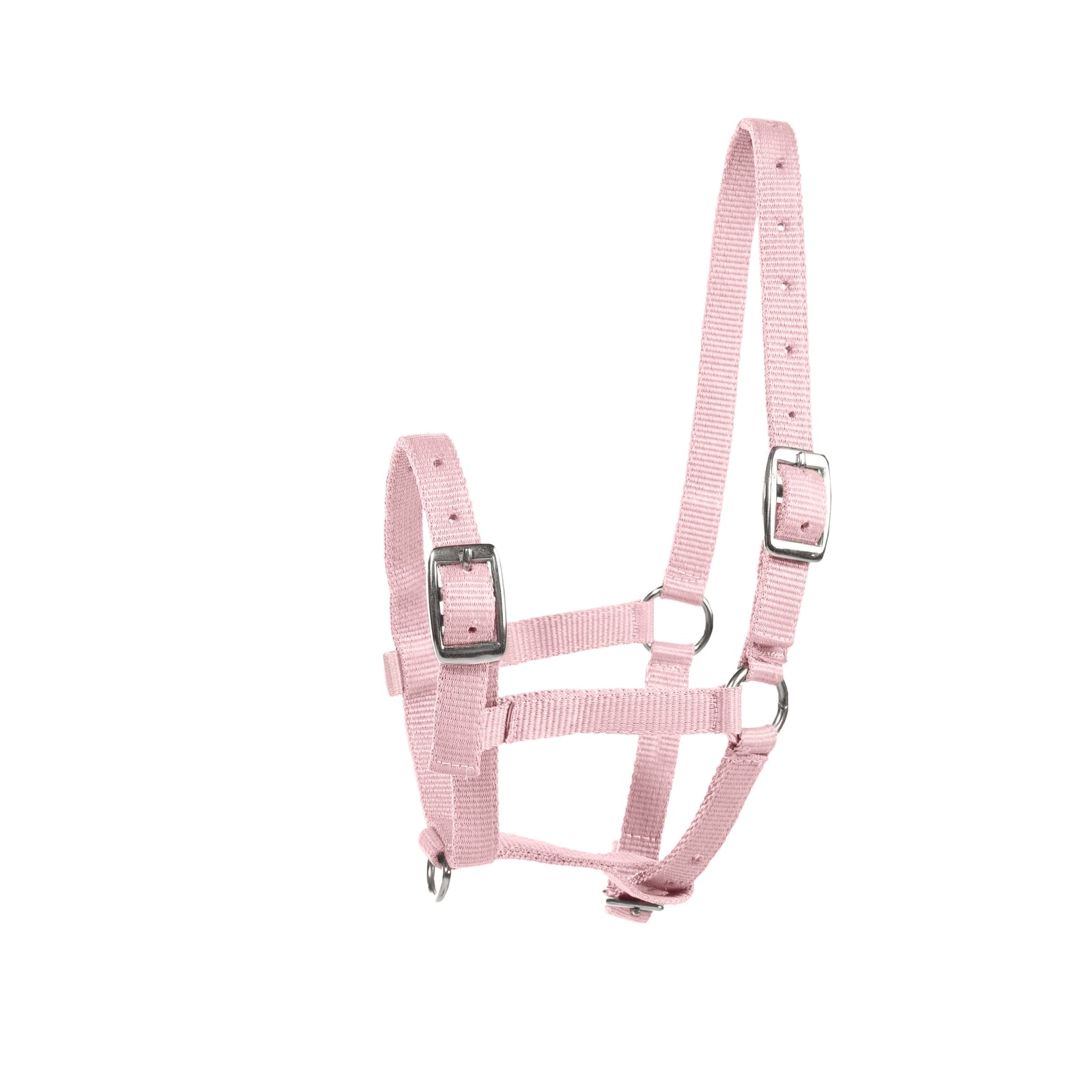 Horze veulenhalster Halsters & Halstertouwen