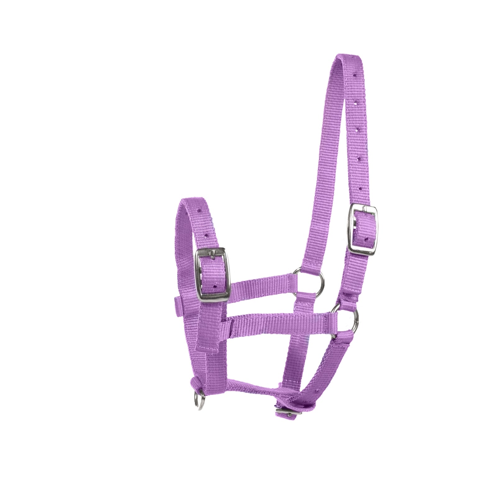 Horze veulenhalster Halsters & Halstertouwen