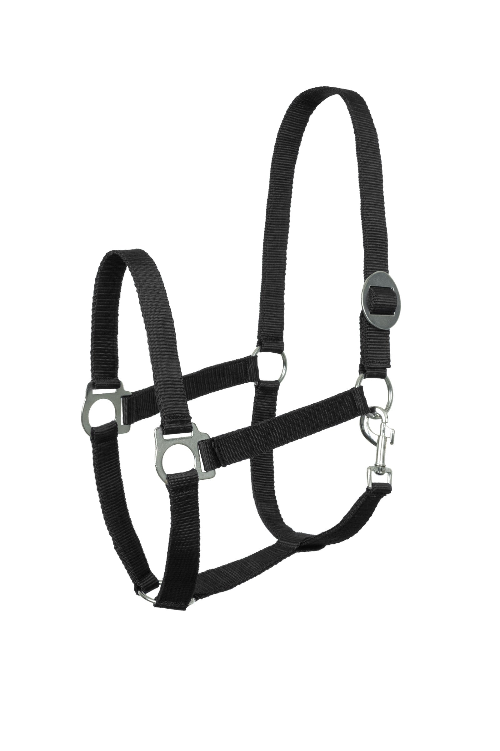 Horze Basic Halter Halters & Leads