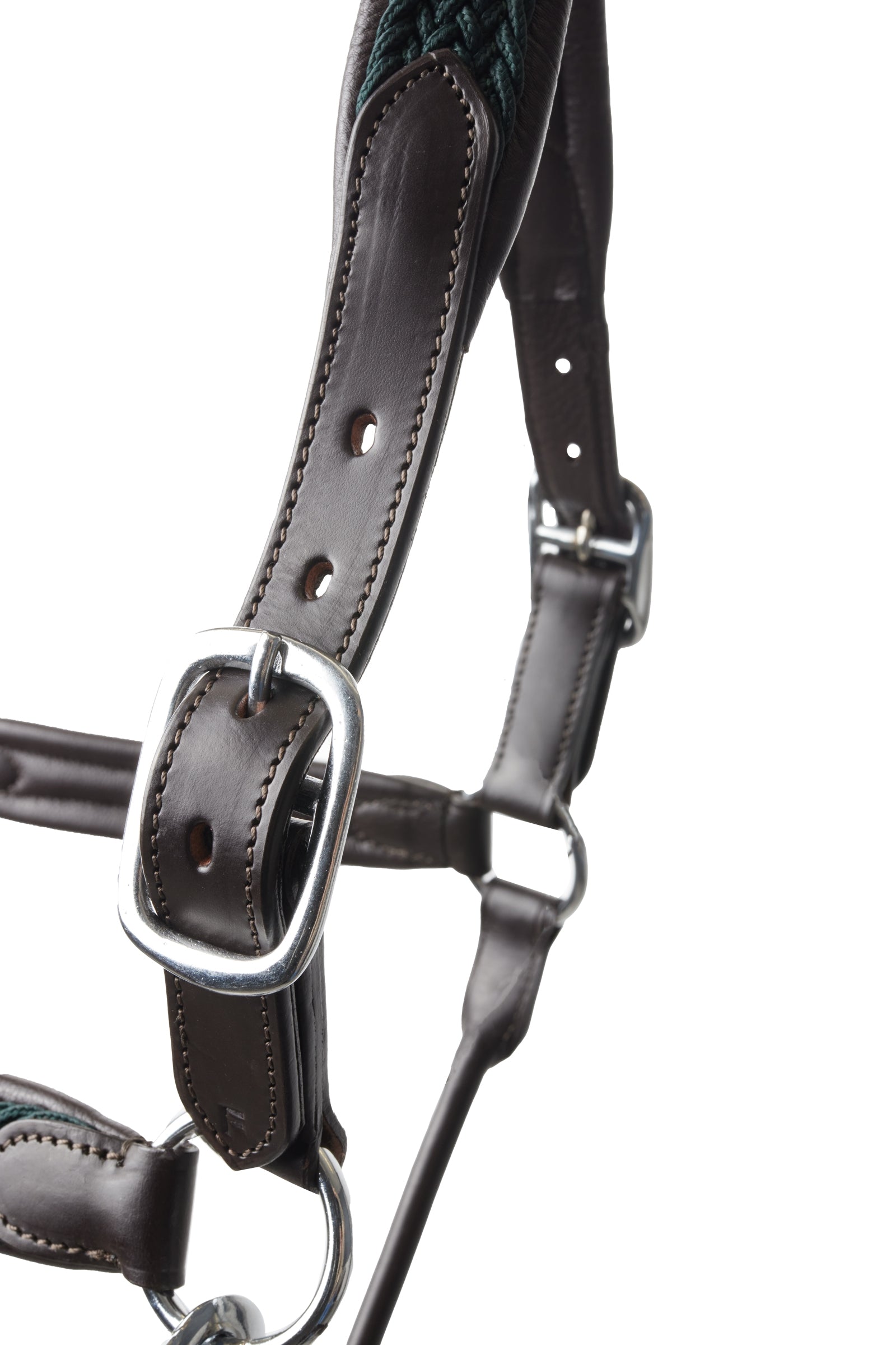 B Vertigo Evolve Leather Halter Halters & Leads