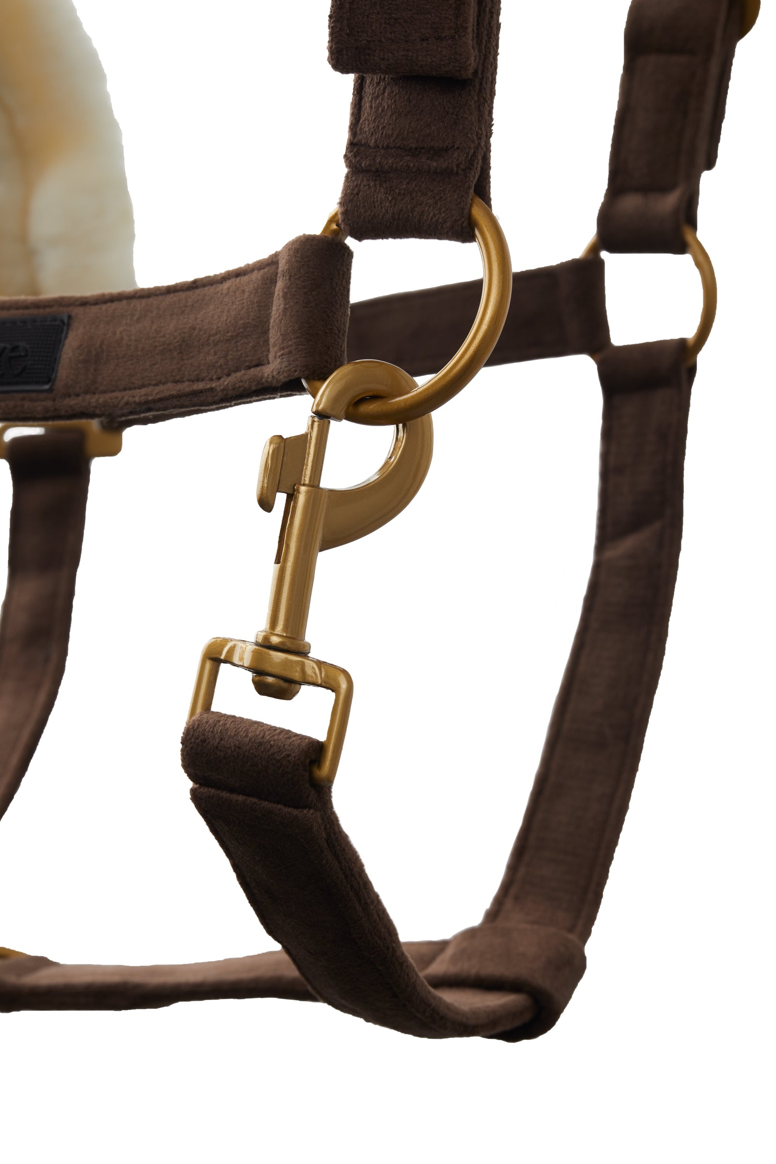 Horze St. Moritz Halter Halters & Leads