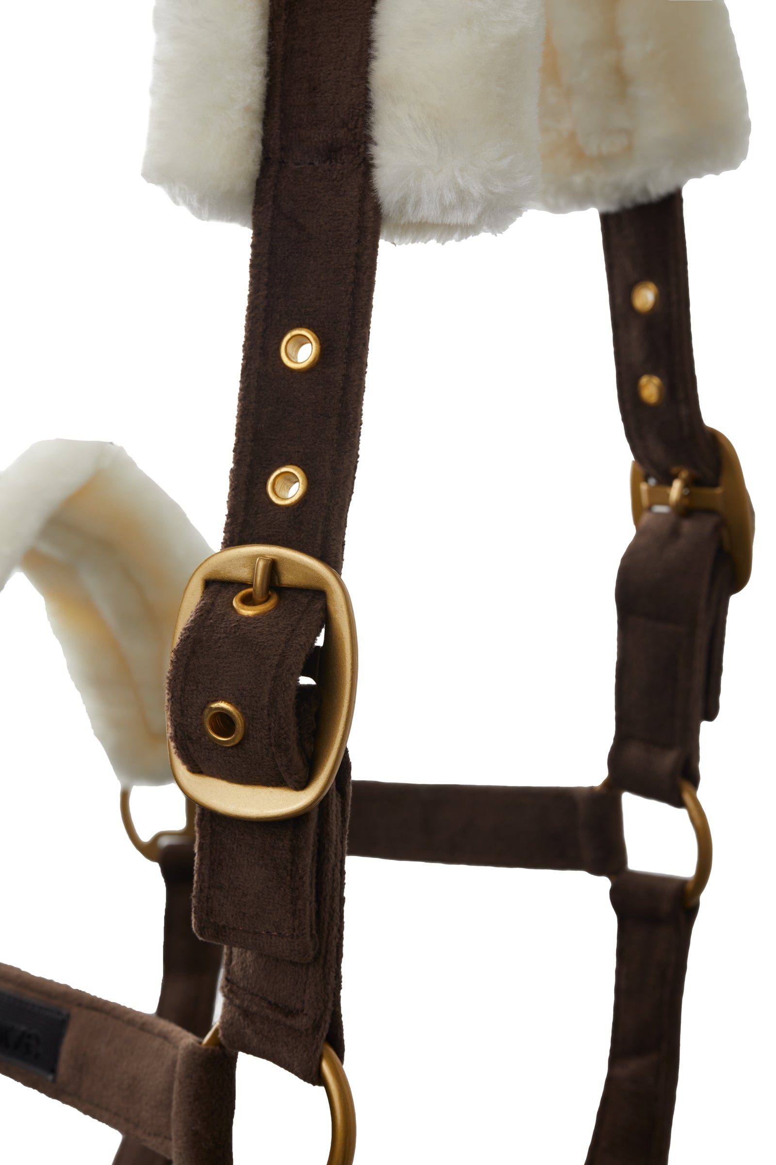 Horze St. Moritz Halter Halters & Leads