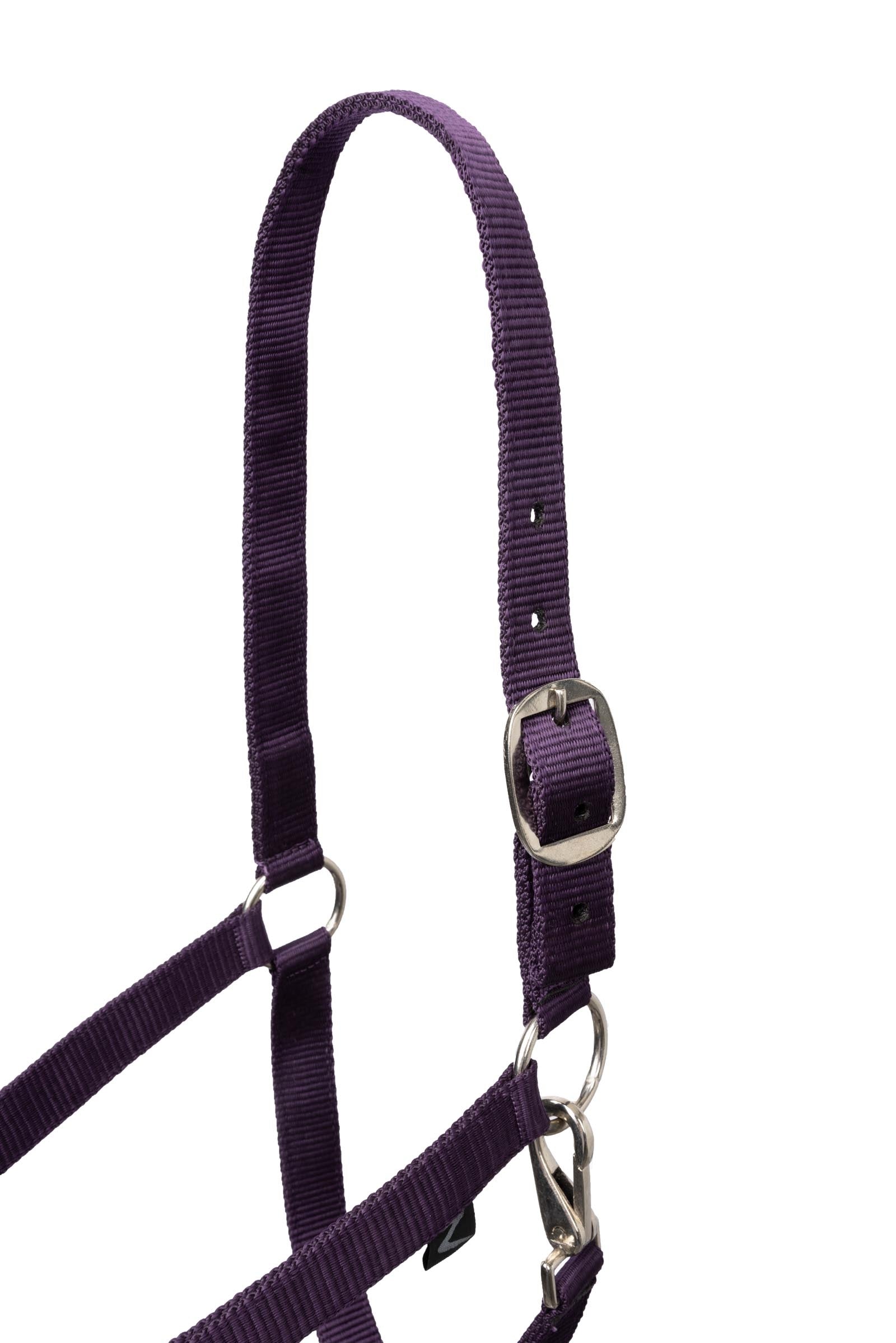 Horze Basic Halter & Panic Hook Lead Halters & Leads